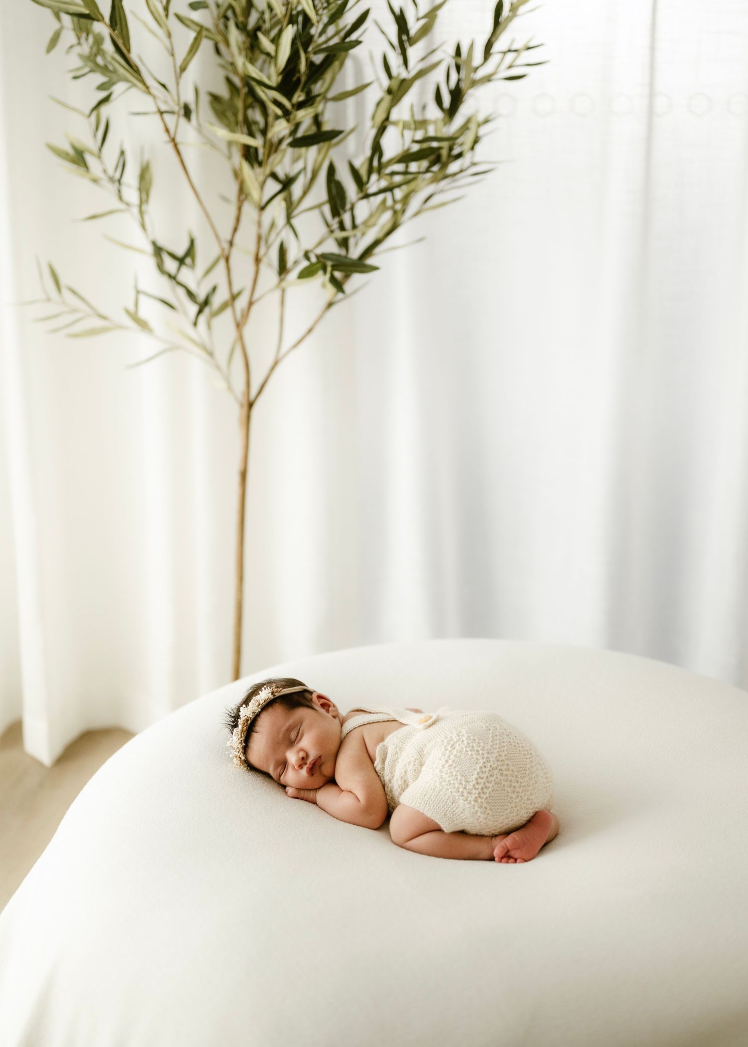 newborn studio session Penrith