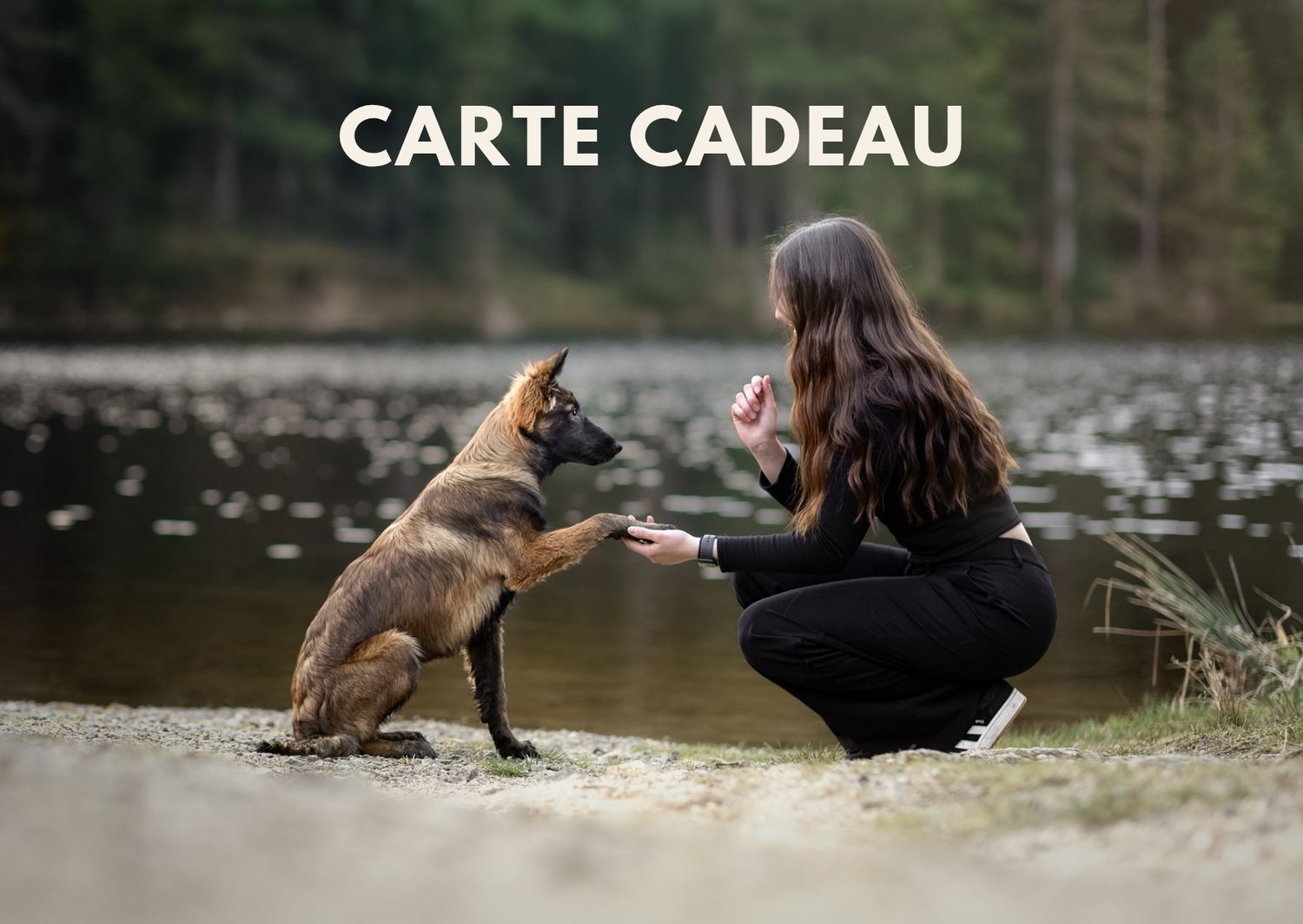 carte cadeau pour une séance photo canine à offrir à ses proches ou à soi même