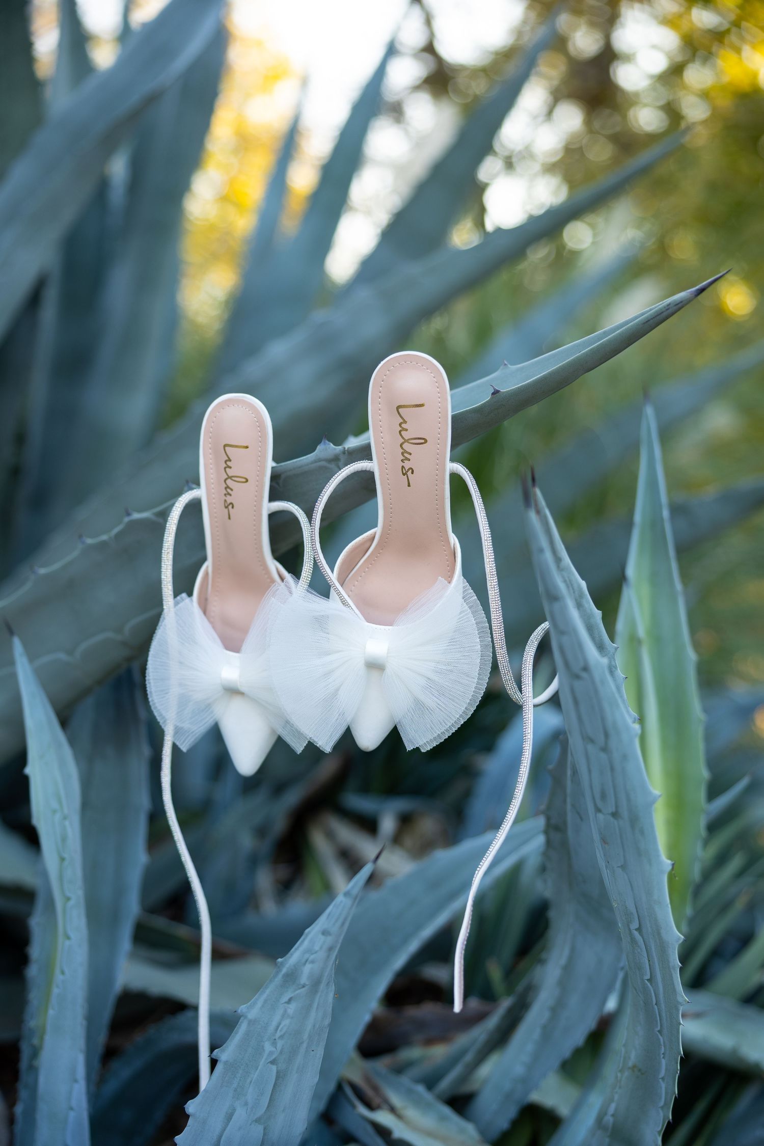 White bridal heels with tulle bows and ribbon ties displayed on agave plant leaves outdoors.