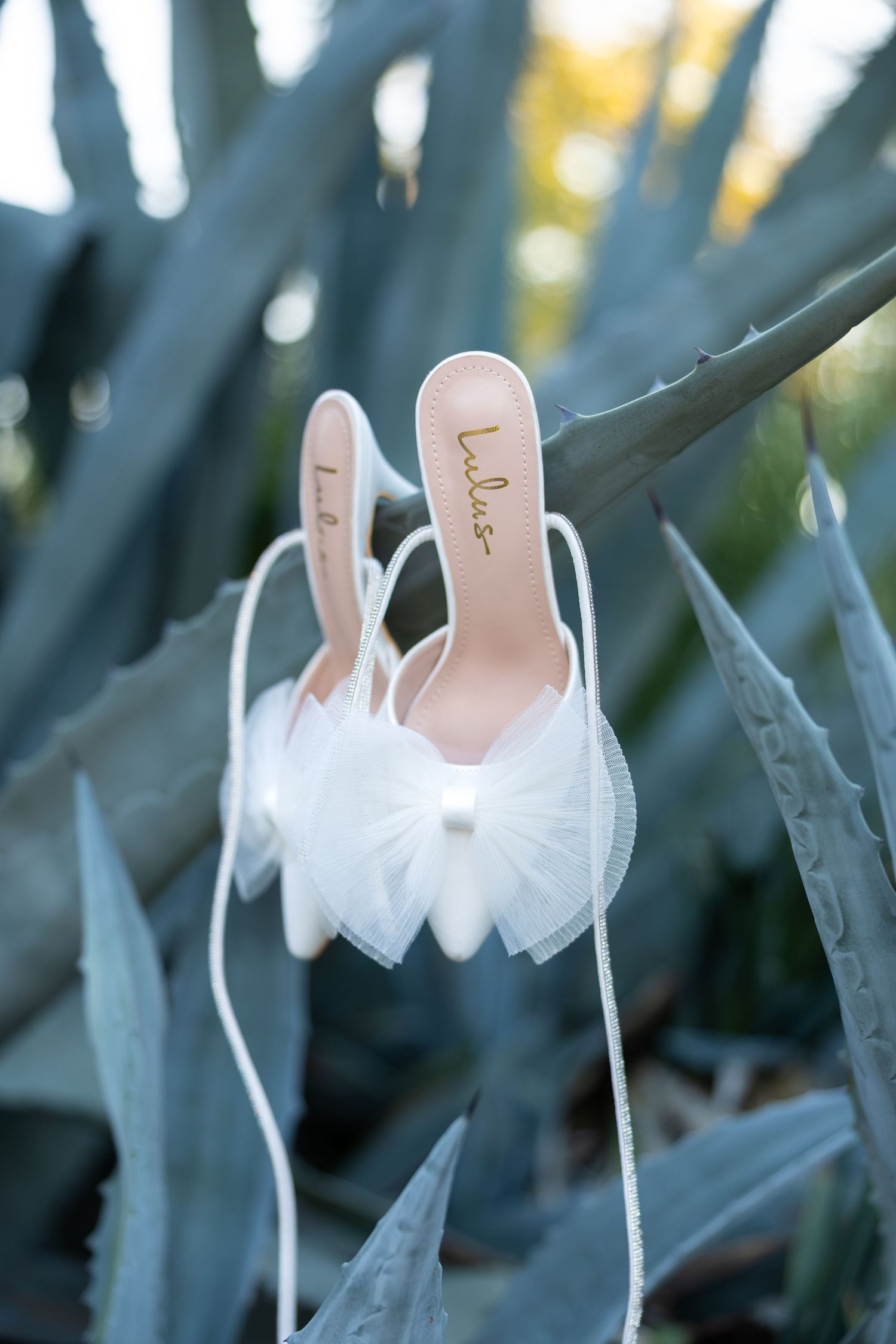Artistic detail shot of white bridal shoes hanging on blue agave plant leaves.