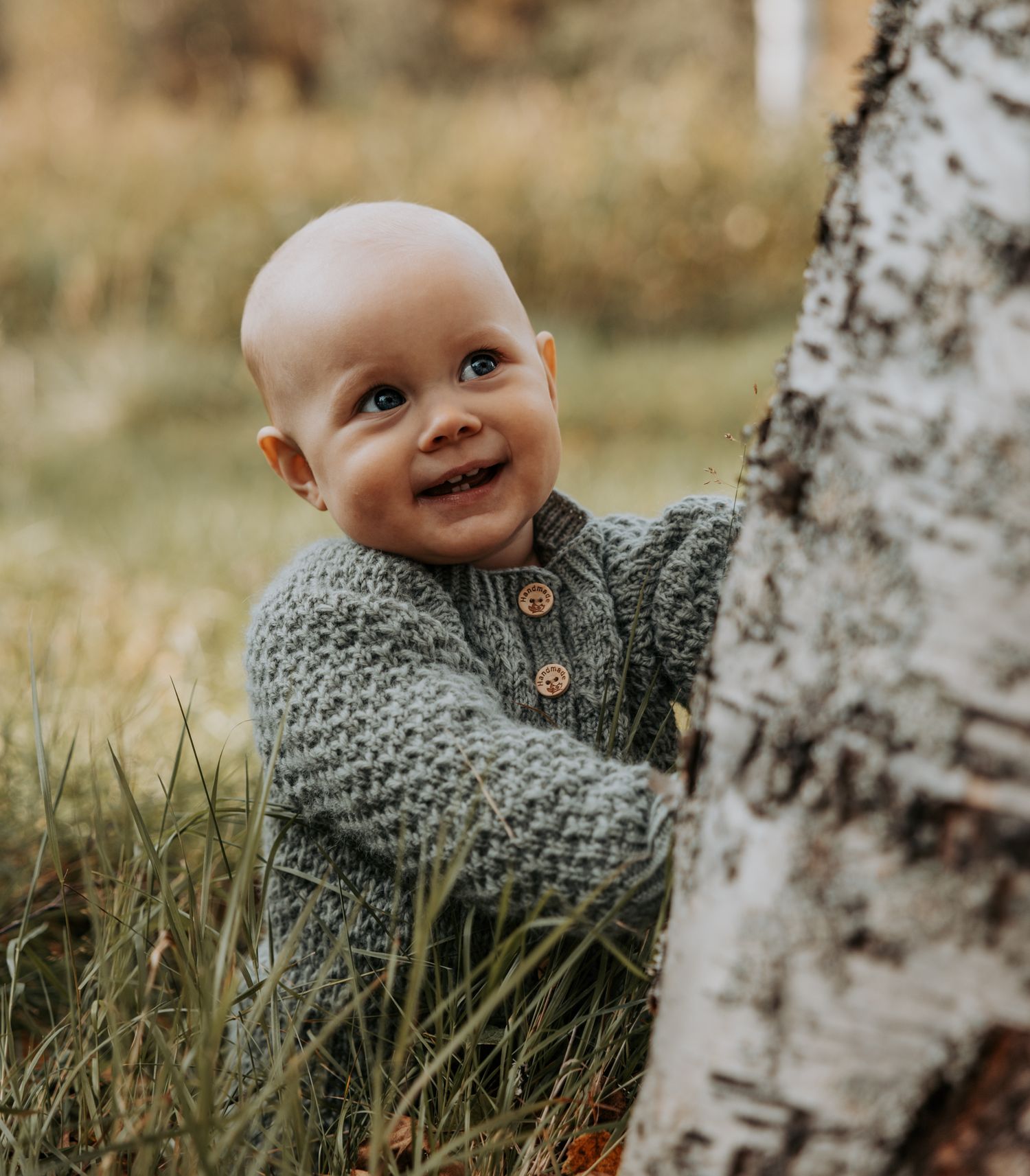 Smiling baby in a gray knit sweater peeking around a birch tree in an autumn outdoor setting.