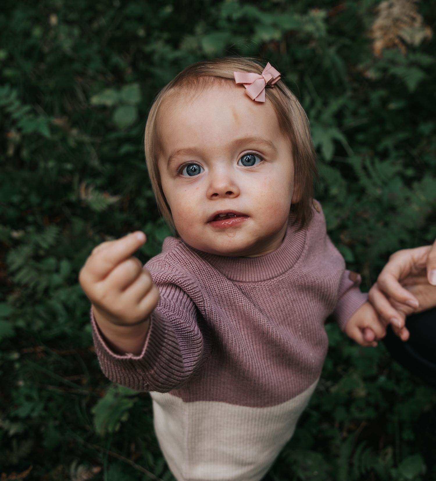 Adorable blue-eyed baby girl in a pink sweater looking up outdoors in nature.