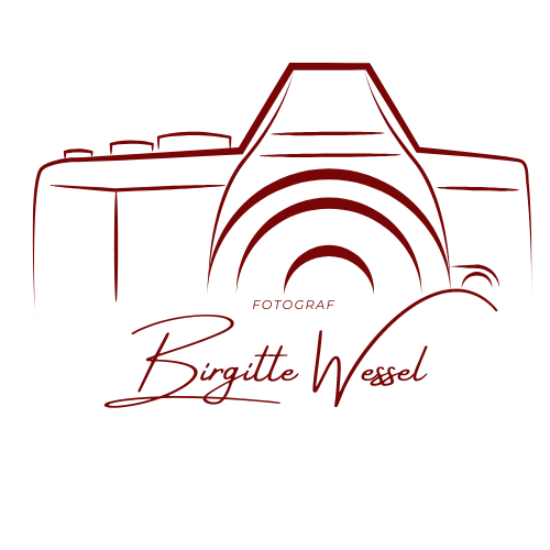 Logo of Fotograf Birgitte Wessel featuring a dark red line-drawn camera with elegant cursive script text.