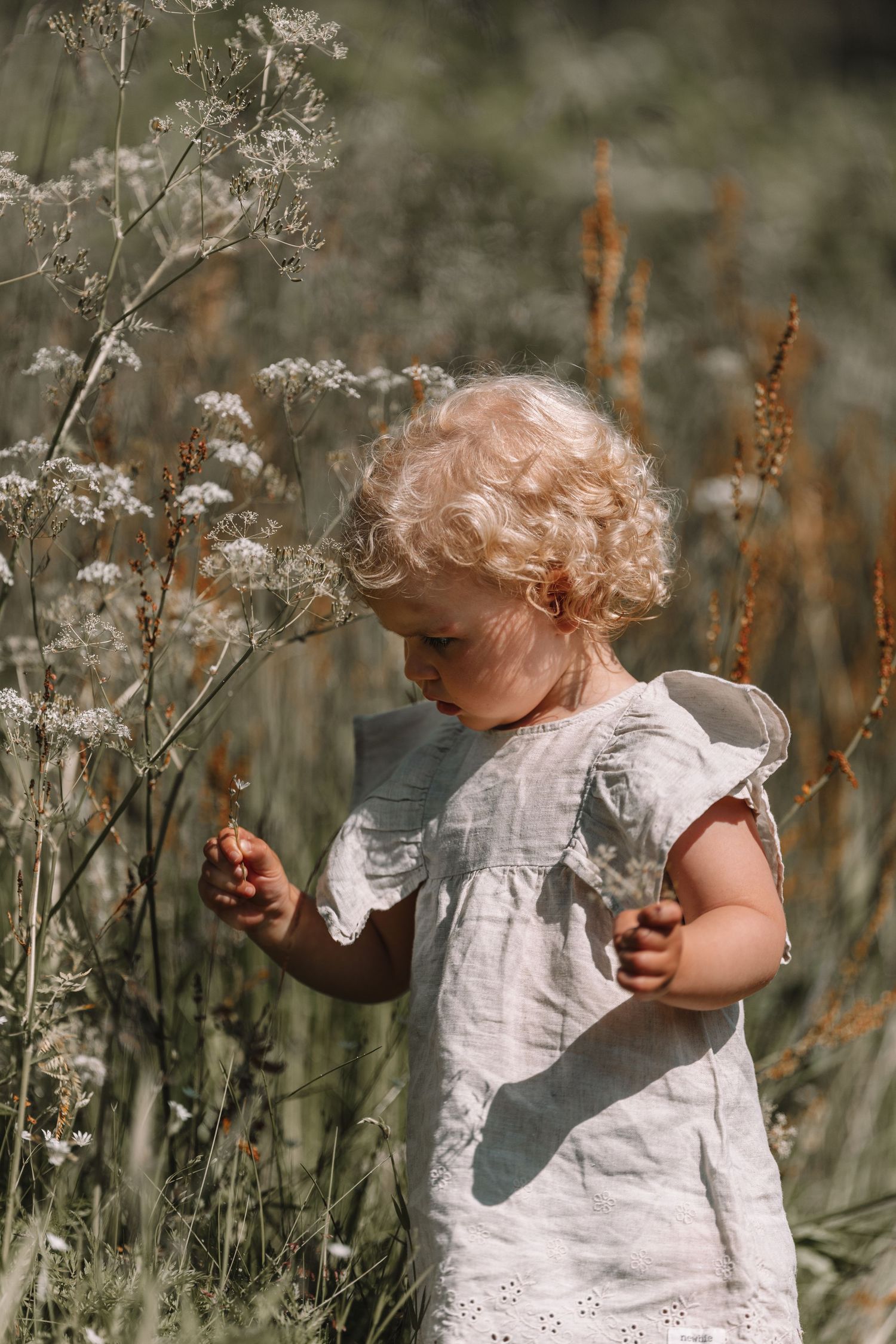 Blonde curly-haired toddler in white dress explores tall wildflowers in a sunny summer field.