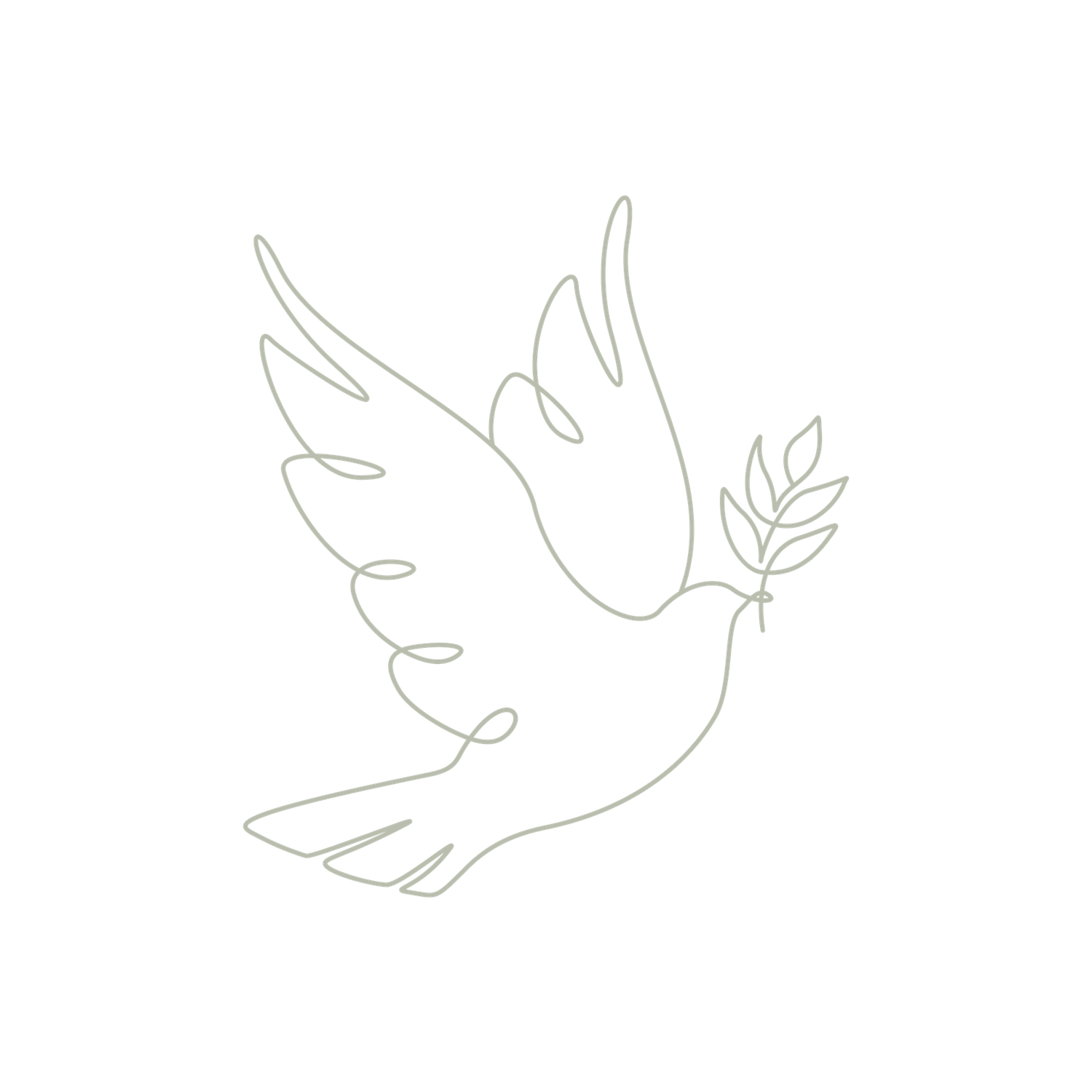 Elegant continuous line drawing of a dove carrying an olive branch rendered in soft sage green ink.