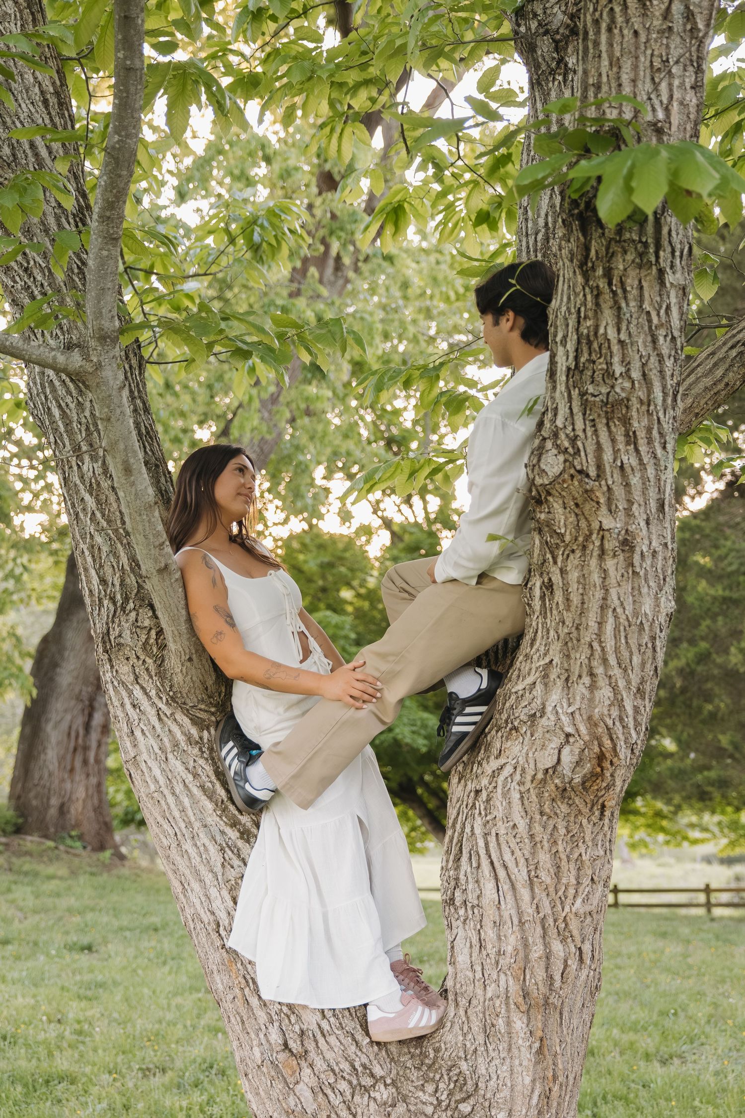 A smiling couple sits together in the branches of a large tree in a green park.