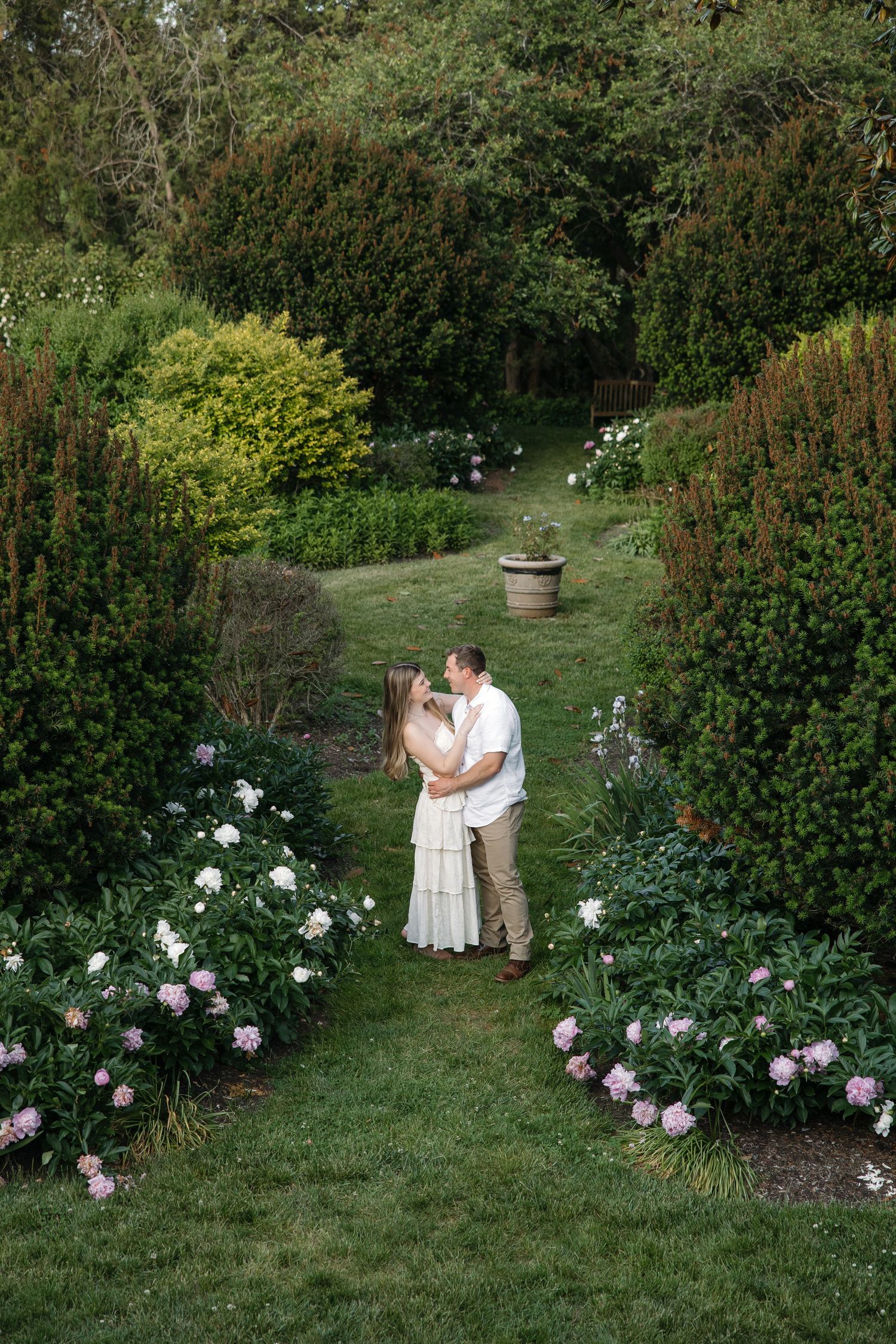 Couple sharing a romantic moment in a lush garden pathway lined with pink peonies and tall hedges.