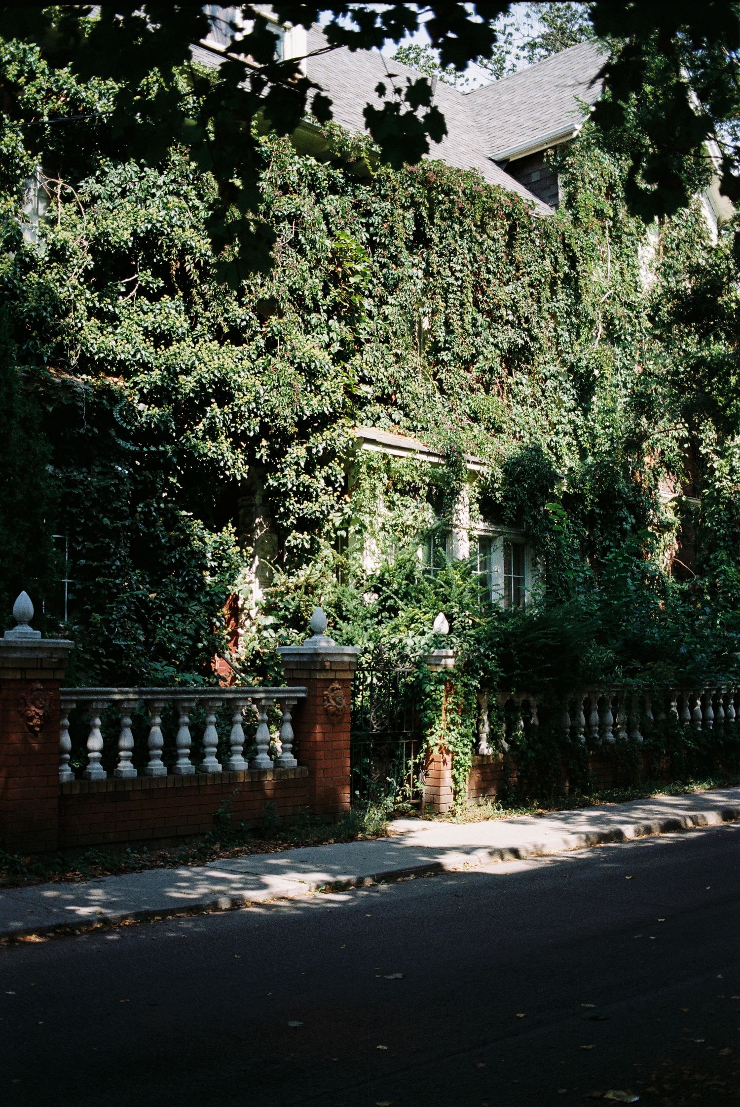 Exterior of a red brick house that is covered in green ivy and other plants.