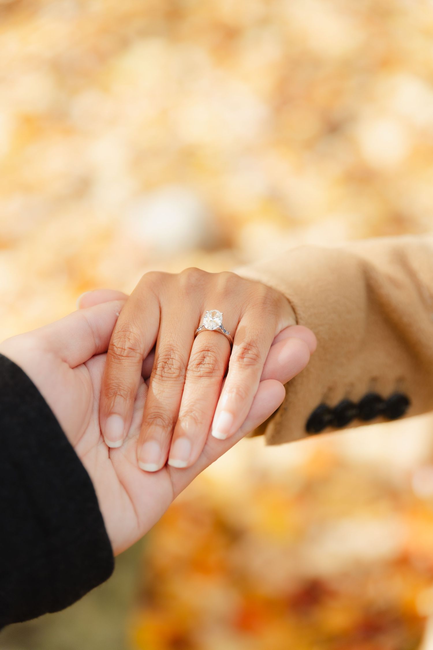 Fiancés hold each others hands above fall foliage to show the diamond engagement ring.