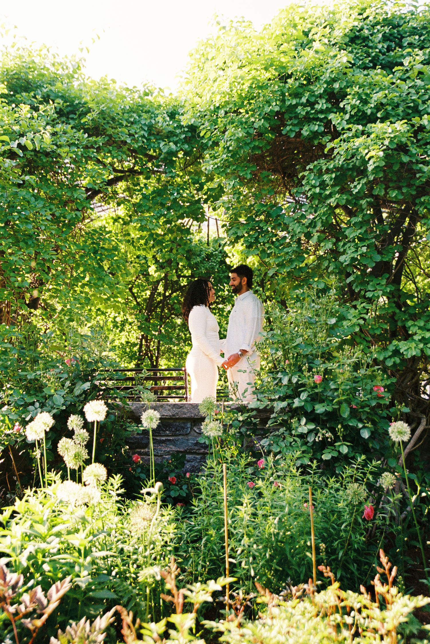 Fiancés standing in the Toronto Music Gardens together for their engagement photos. Greenery and flowers surround them.
