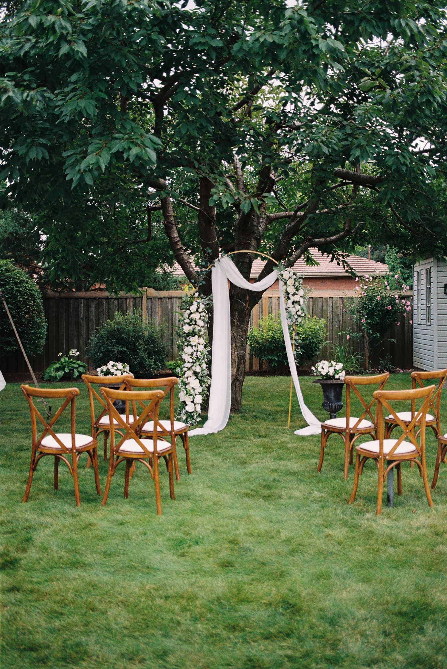 A backyard elopement ceremony with 8 wooden chairs and a white fabric altar in front of a cherry tree.