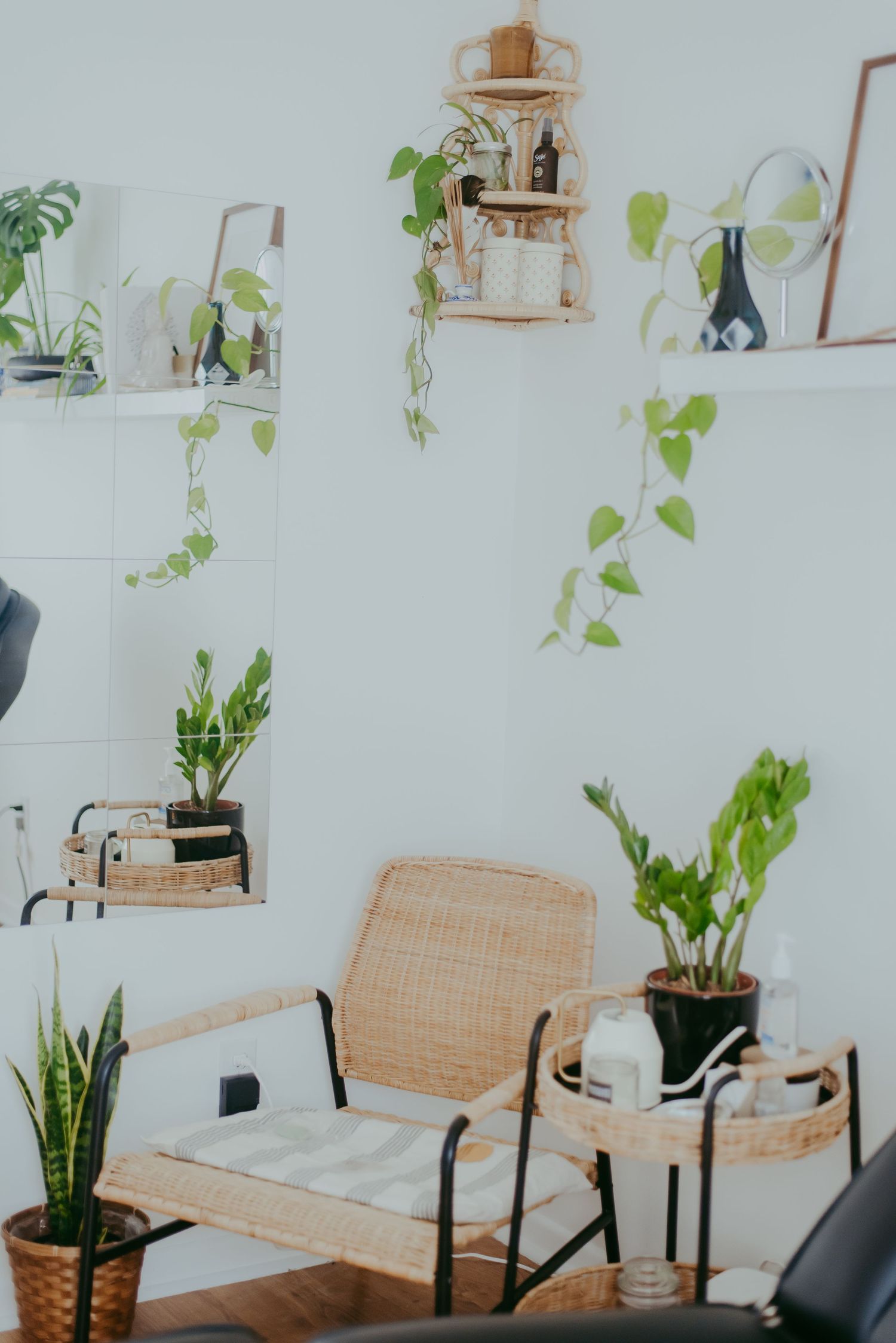 Bright tattoo studio corner with wicker chair, green plants, wall shelves, and mirror in a white room.