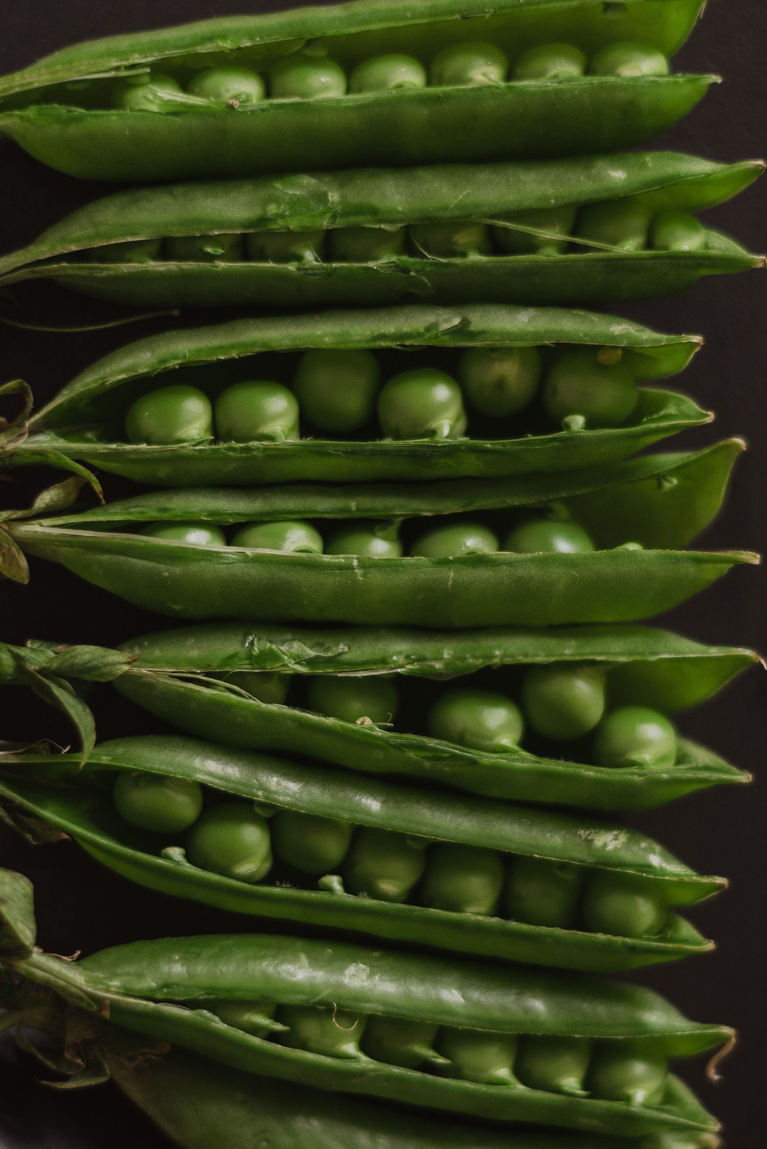 Fresh green pea pods split open revealing bright green peas inside, arranged in rows on dark background.