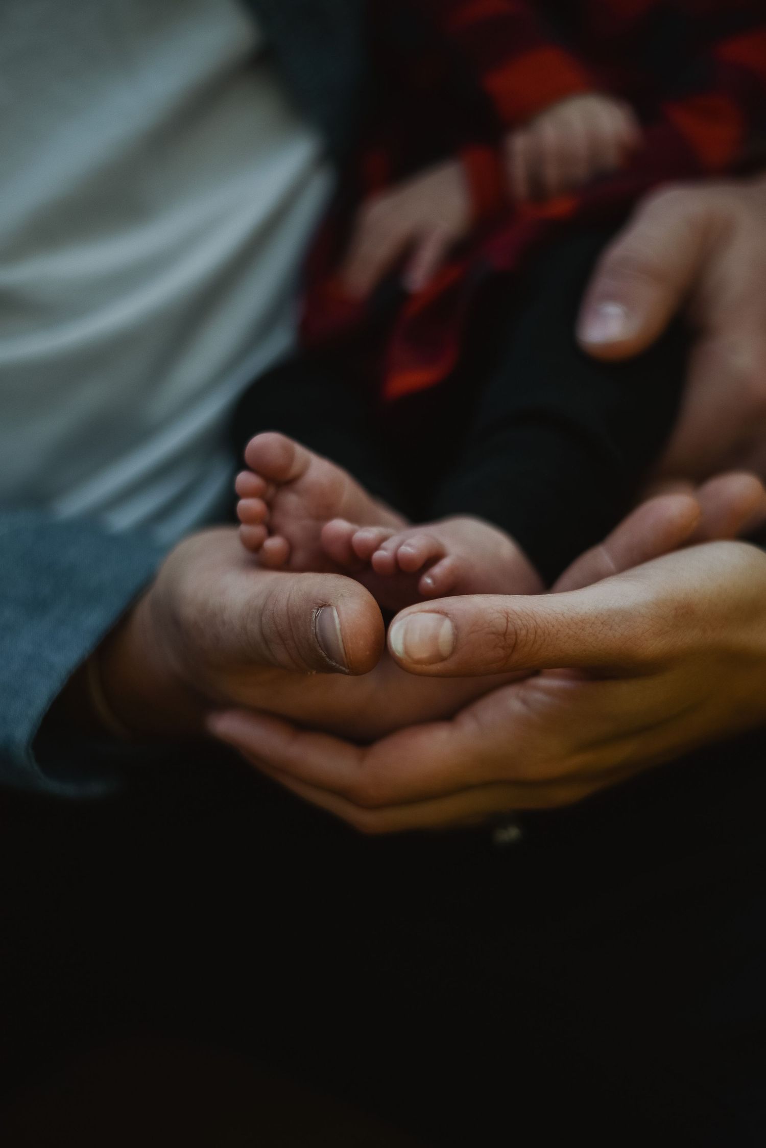 Adult hands gently cradling tiny newborn baby feet, a tender family moment captured in soft, moody lighting.