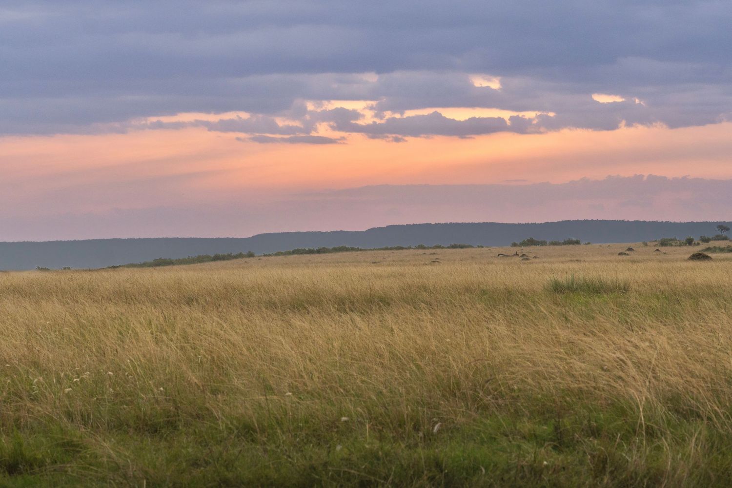 Pretty sunset over Maasai Mara landscape