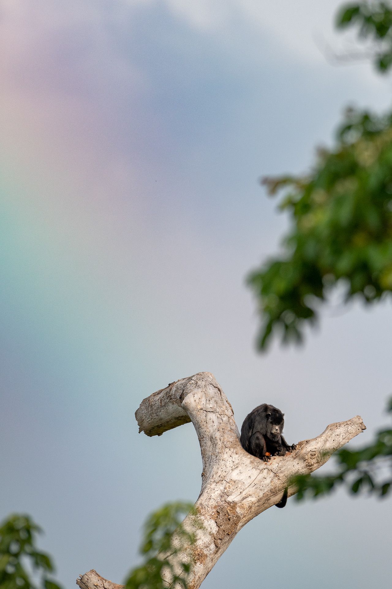 Money with a rainbow