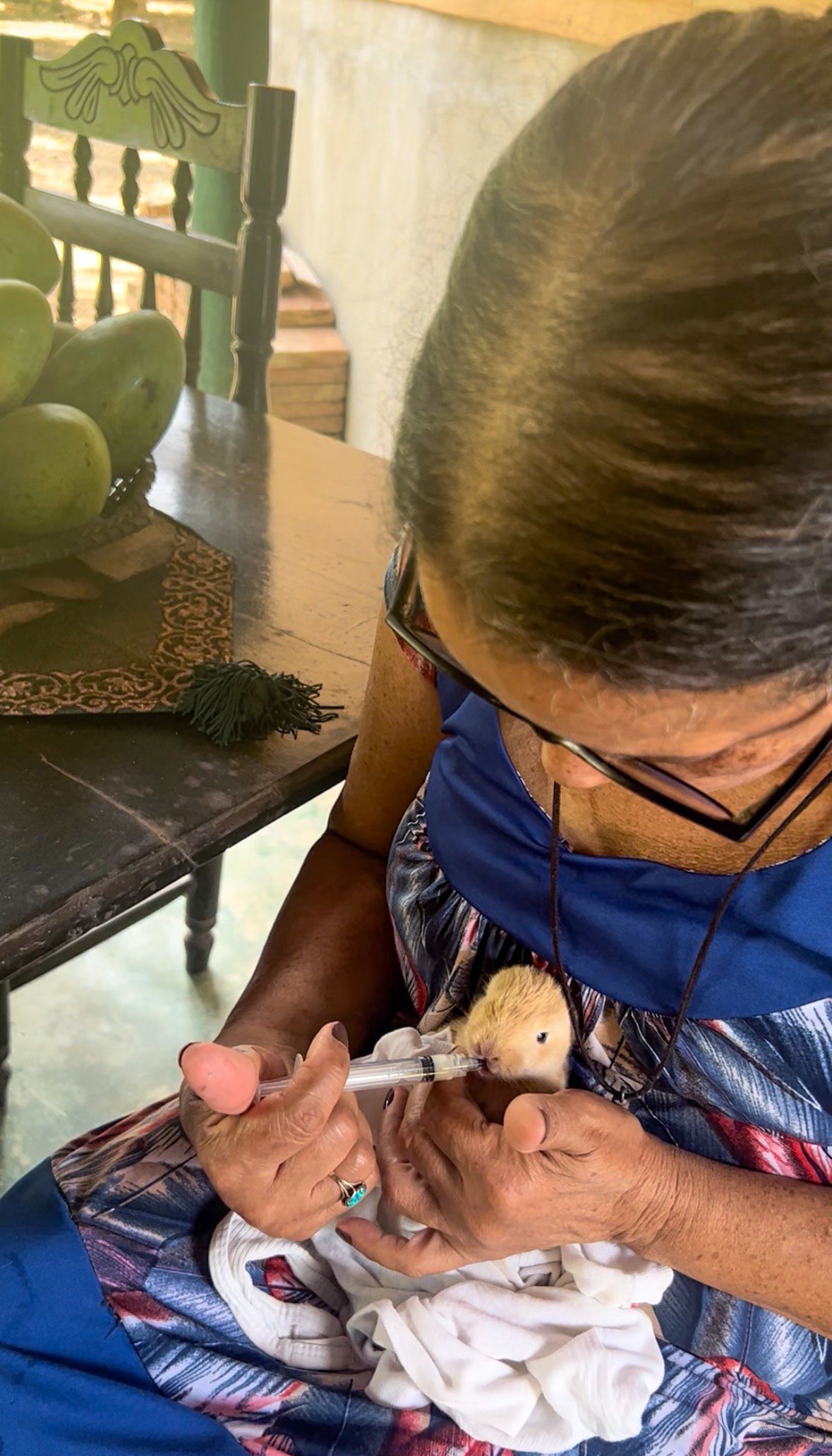 Elderly woman carefully feeding a tiny baby animal with a syringe indoors.