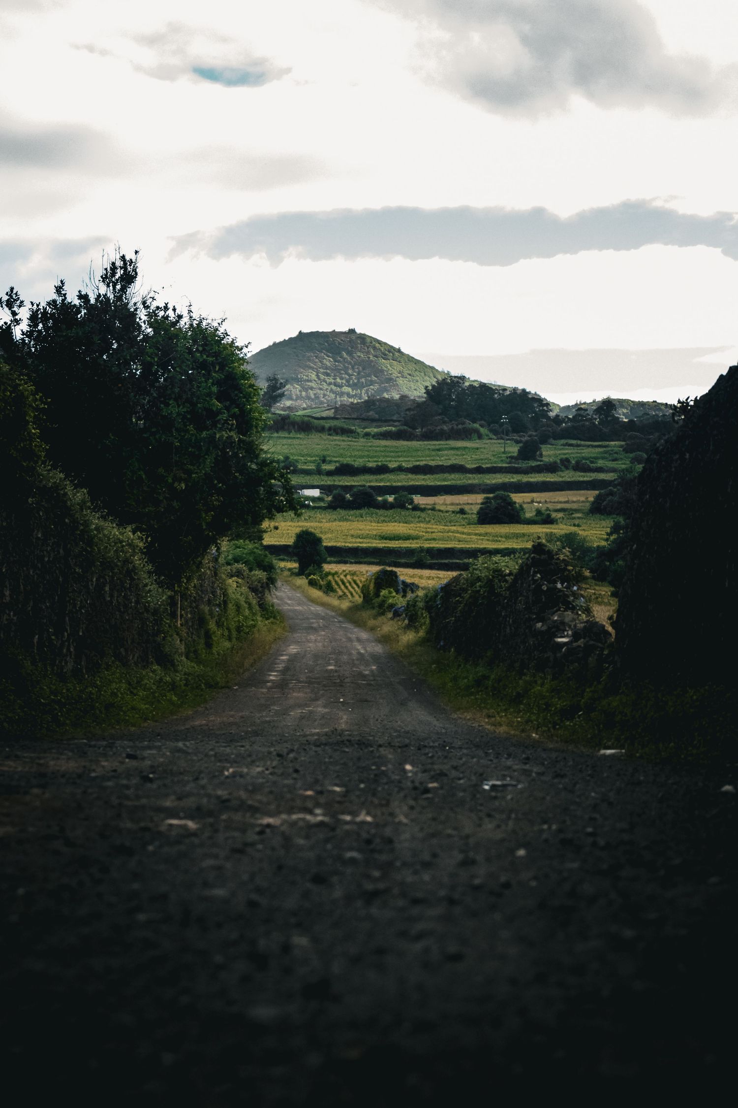 A narrow gravel country road leads through hedgerows toward green fields and a volcanic hill under cloudy skies.