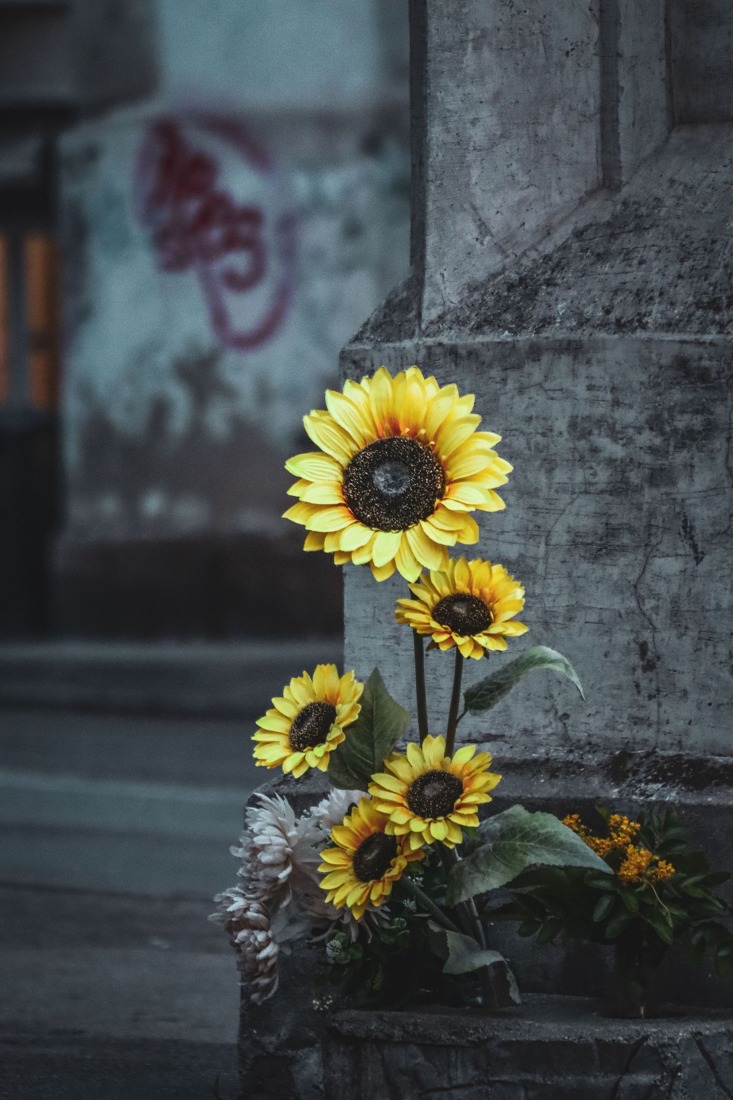 Bright yellow sunflowers against a dark urban wall.
