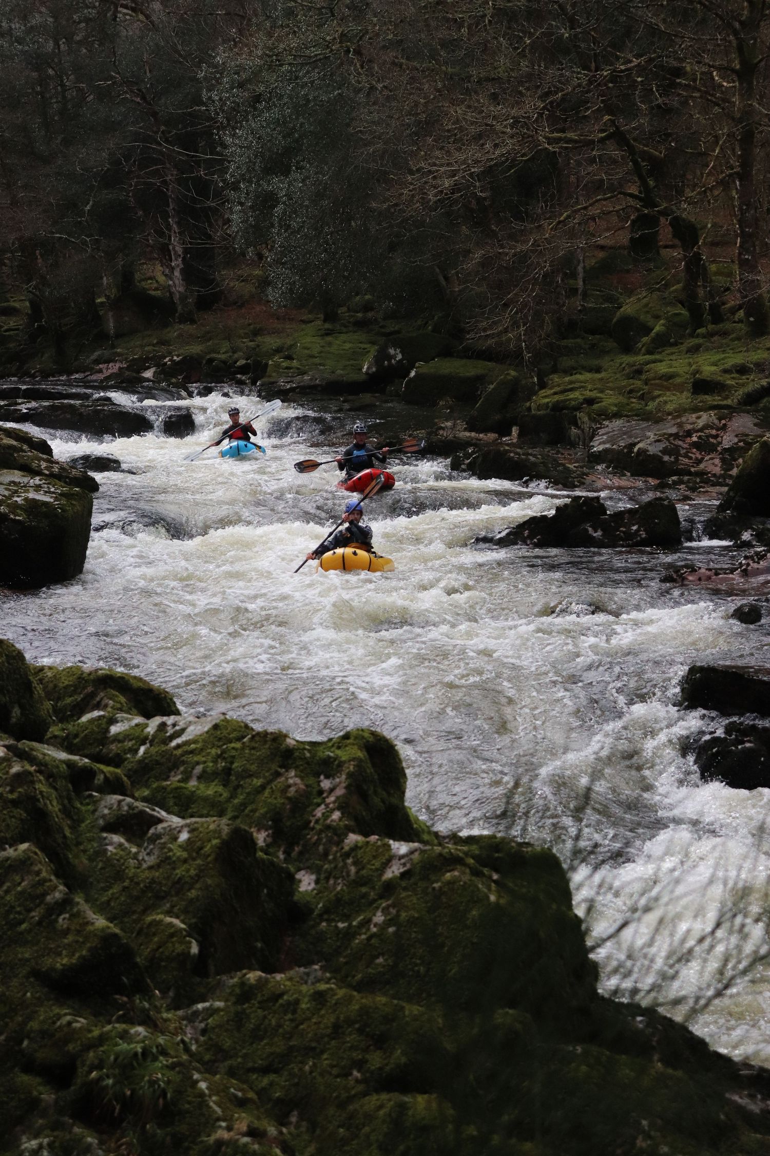 Three kayakers navigating turbulent white water rapids surrounded by moss-covered rocks in a forest river.
