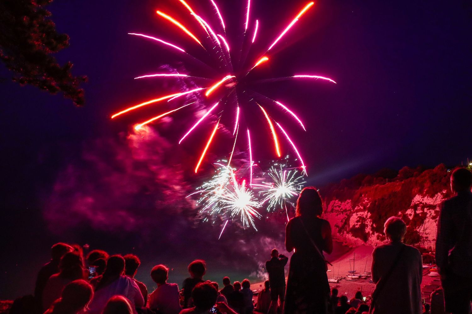 Pink and red fireworks explode over a crowd of silhouetted spectators at night.