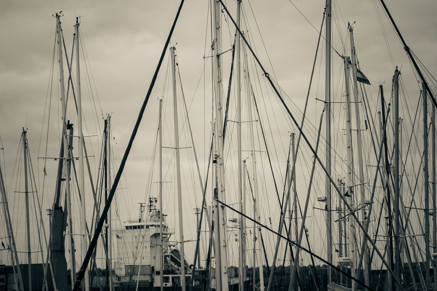 Tall sailboat masts fill the frame at a grey, overcast harbor marina in a monochrome seascape.