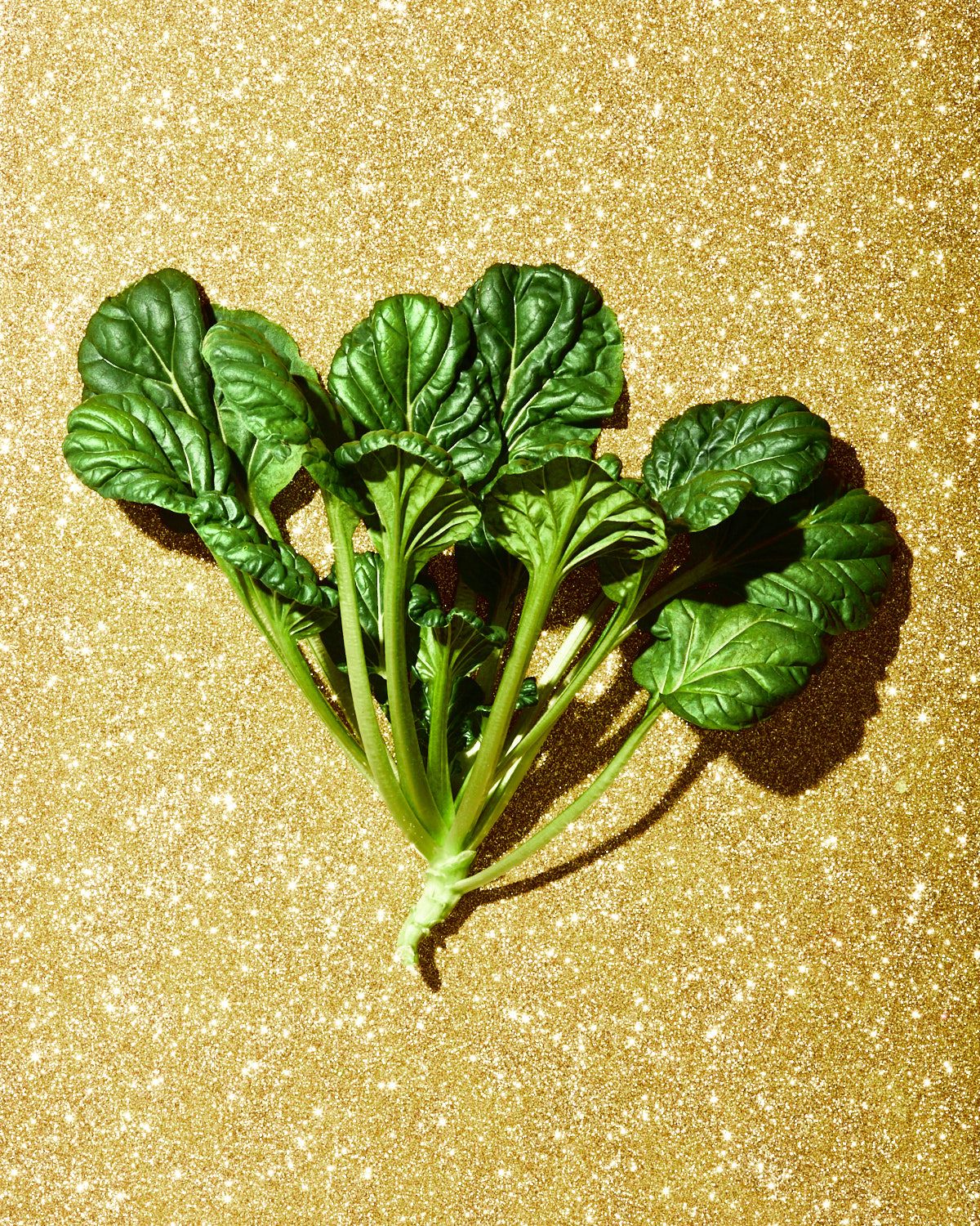 Fresh pak choy vegetable photography on gold glitter - food and drink photography - Nancy Anne - creative commercial food photographer
