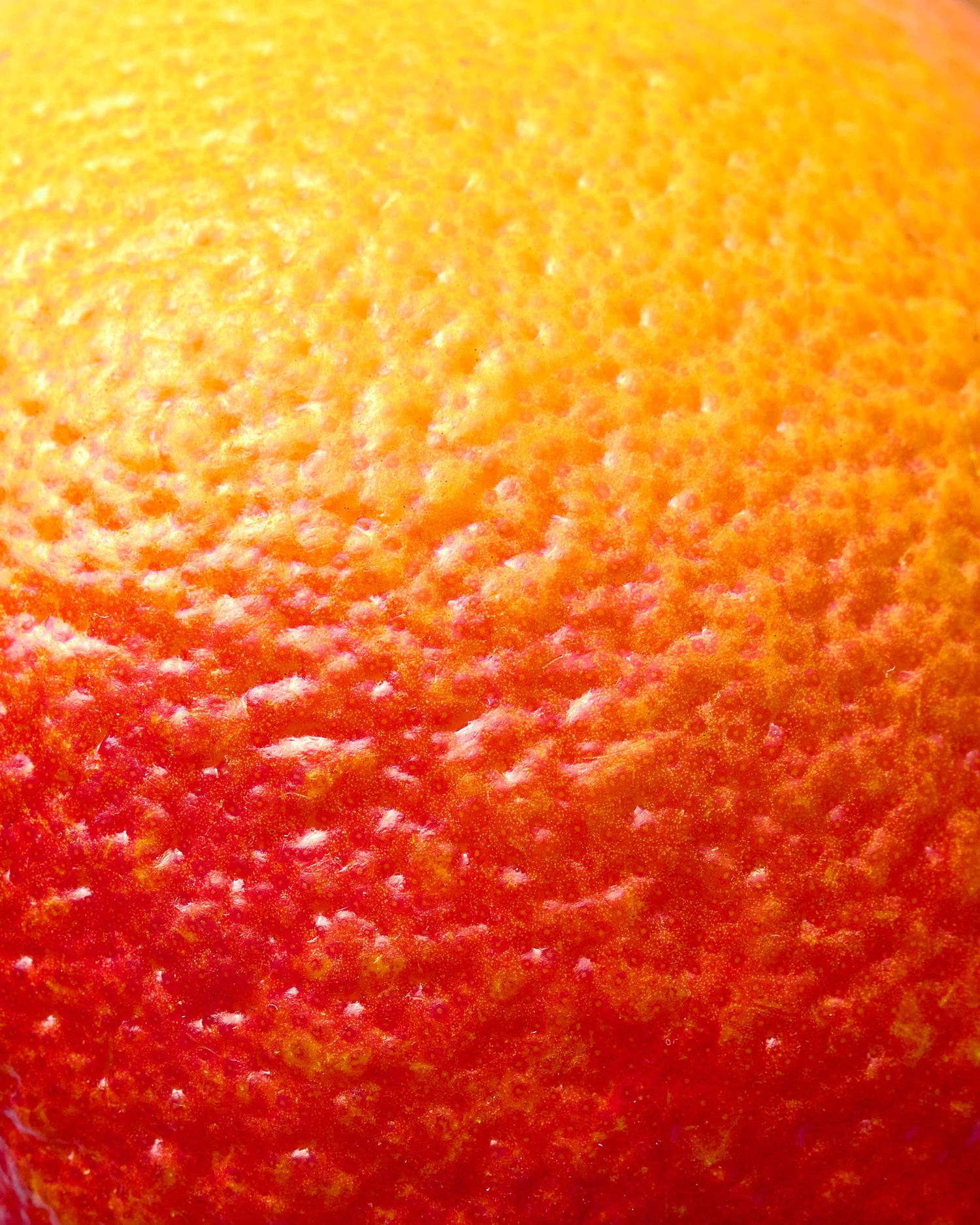 Blood orange macro fruit photography - food and drink photography - Nancy Anne Photography - Commercial food photographer