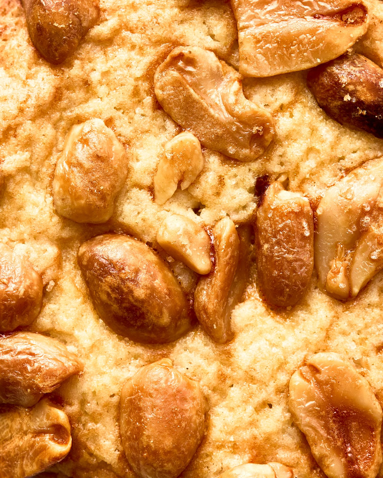 Peanut cookie biscuit macro photography – food photography – Nancy Anne – food and drink photographer