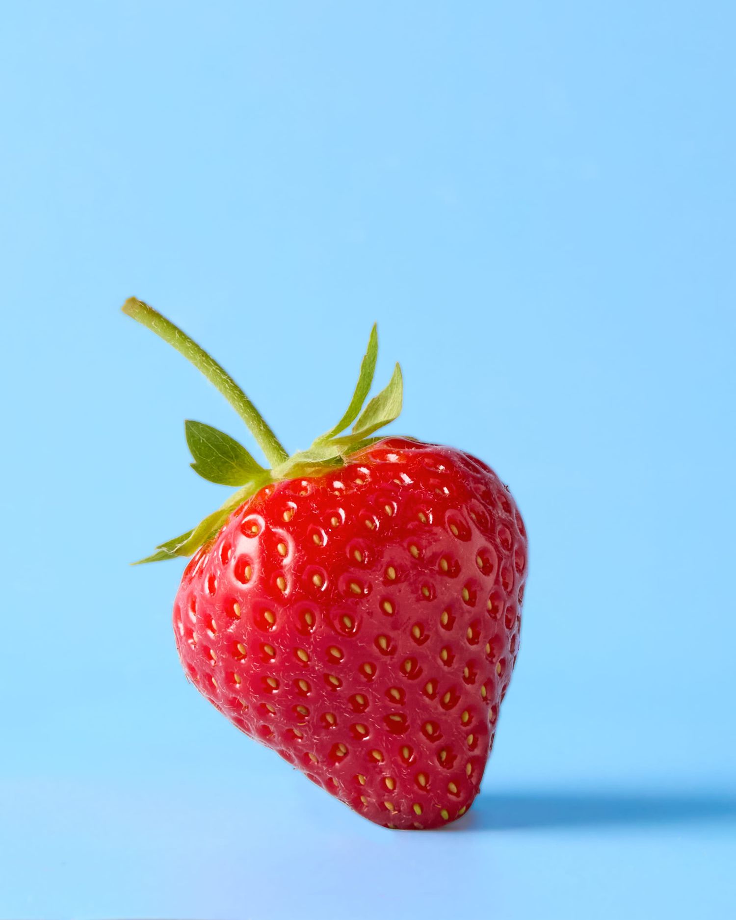 Fresh strawberry macro photography - healthy food photographer - Nancy Anne Photography