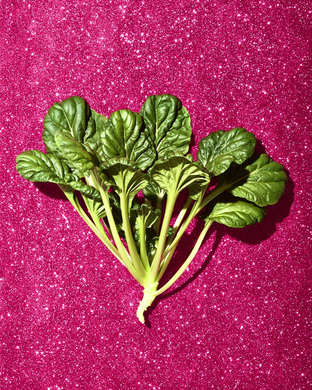 Pak choy on pink glitter background - Barbie food photography - pink food drink photography - Nancy Anne Photography