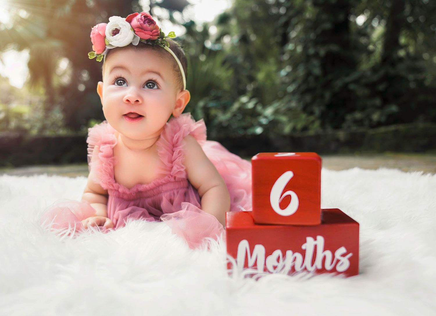 Baby milestone photos with pink tutu and monthly number markers.