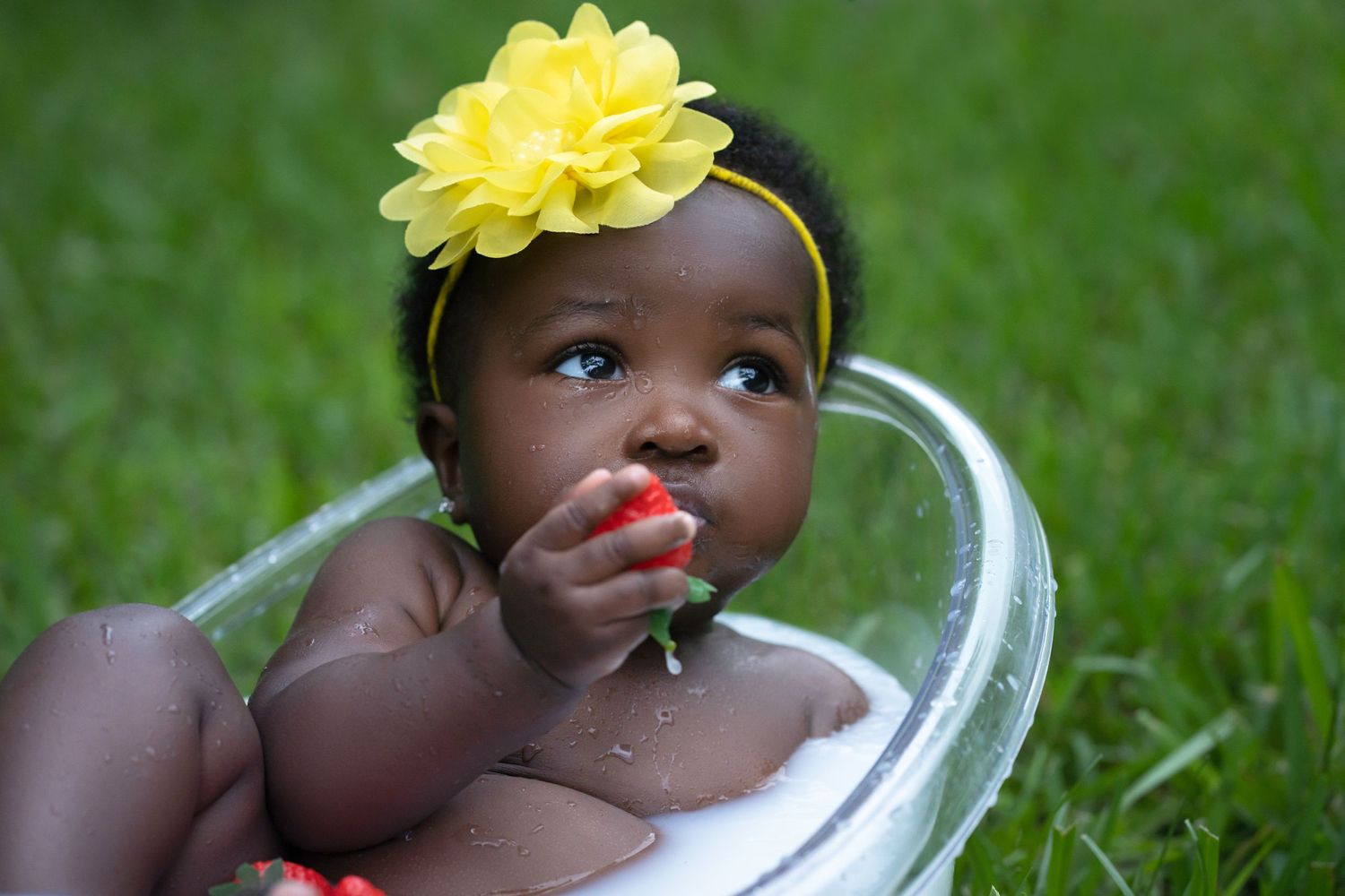 Baby wearing yellow flower headband sits in a milk basin outdoors holding a strawberry.