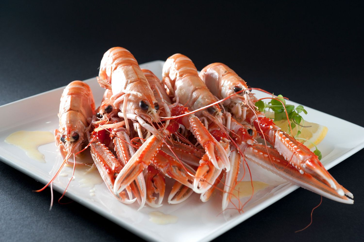 Fresh cooked langoustines arranged on white plate with garnish.
Photograph by Danny Elwes