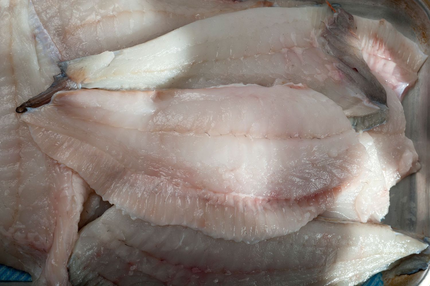 Fresh raw white fish fillets displayed on a tray, showing clean cuts of moist, pale flesh ready for cooking.