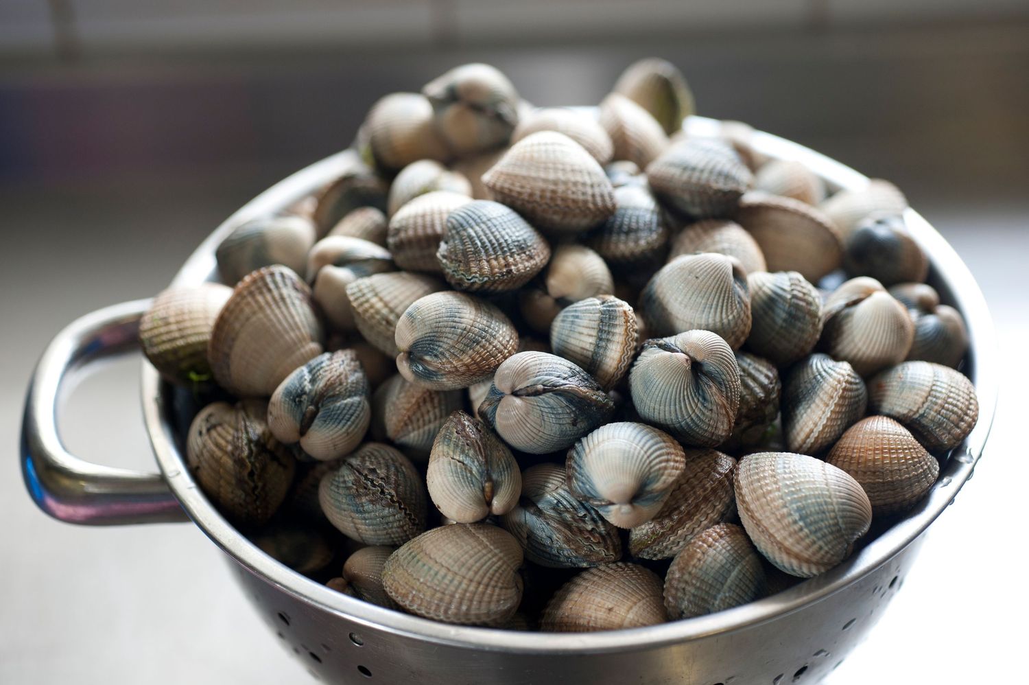 Fresh raw clams in a stainless steel colander, showcasing their natural striped shells ready for cooking.