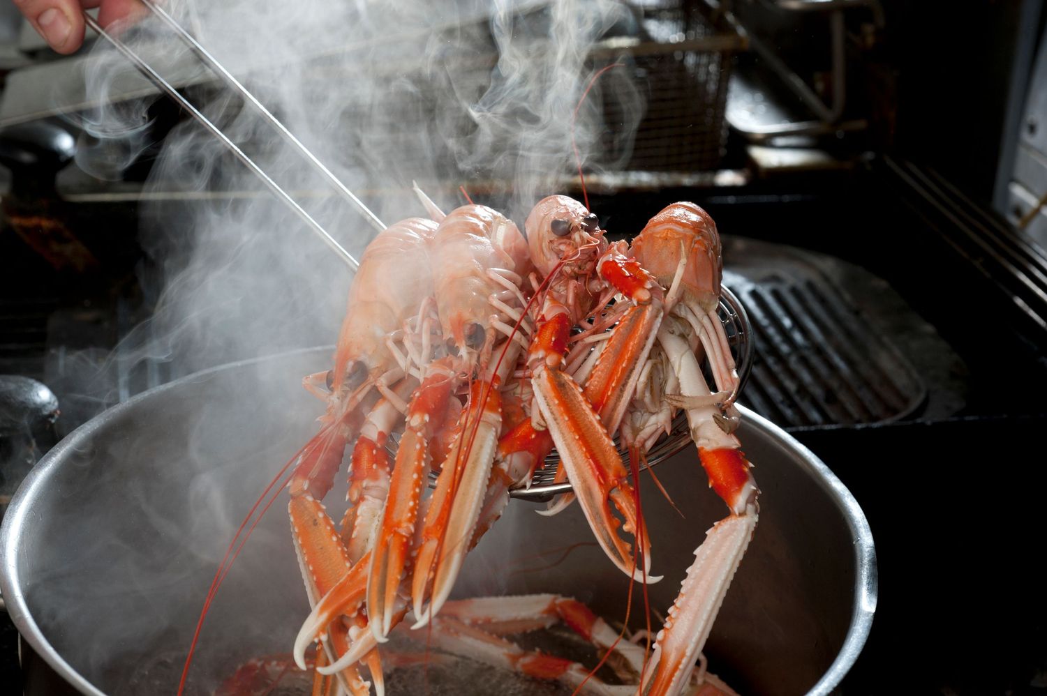 Steaming red king crab legs being lifted from a boiling pot in a restaurant kitchen.