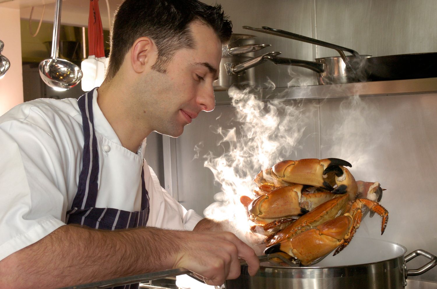 Chef in white apron cooking fresh crabs in a steaming pot in a professional kitchen.