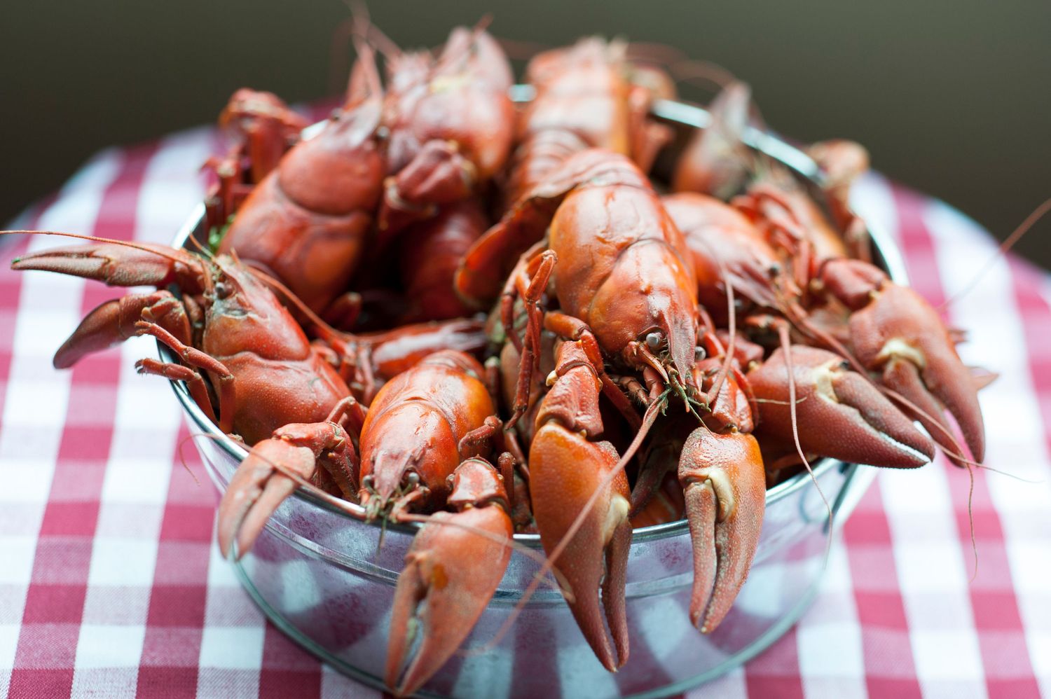 A bowl of cooked red crawfish piled high on a red and white checkered tablecloth.