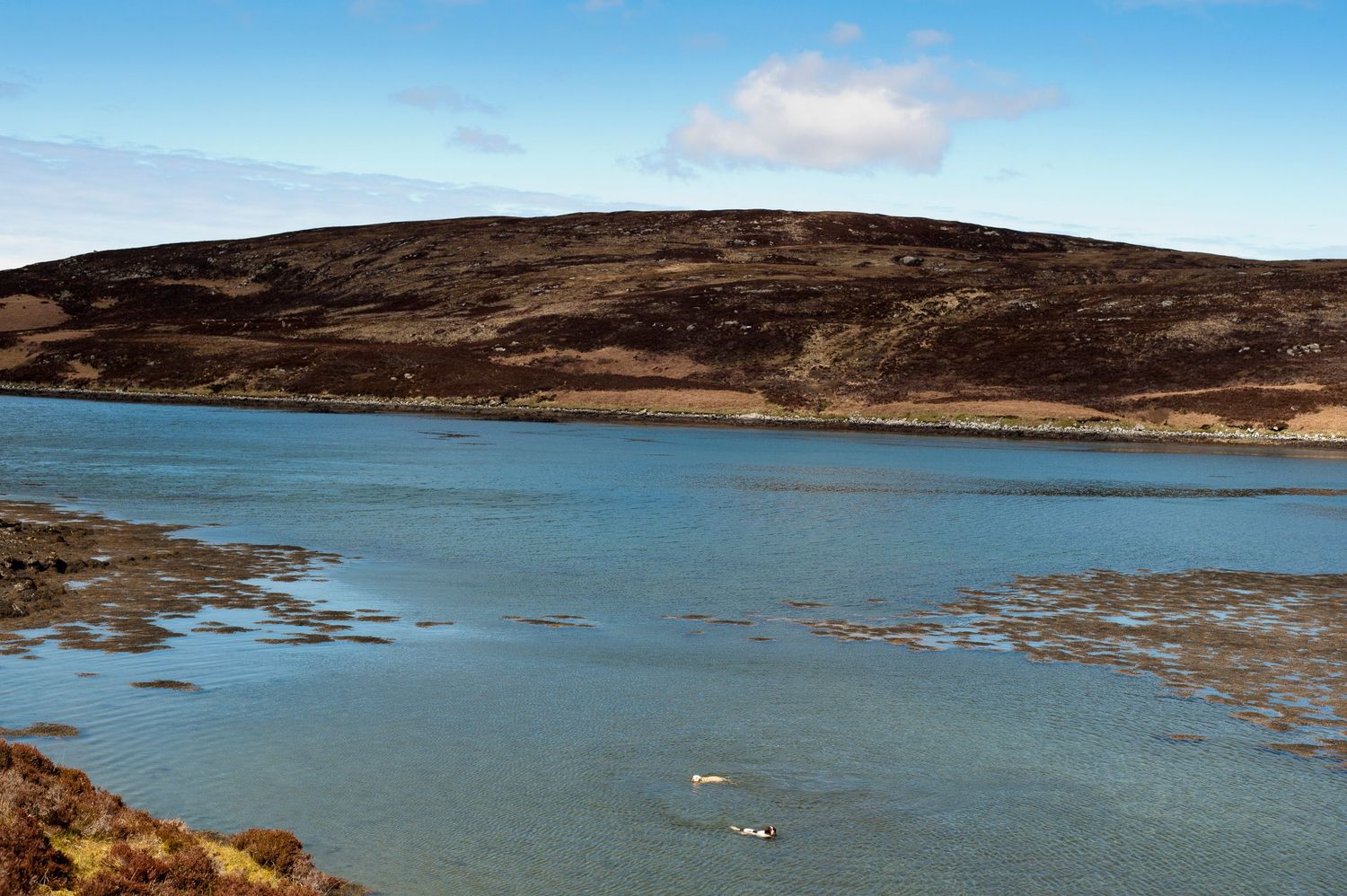 Scenic Scottish loch with turquoise water, rocky shoreline, and a brown moorland hill under a blue sky.