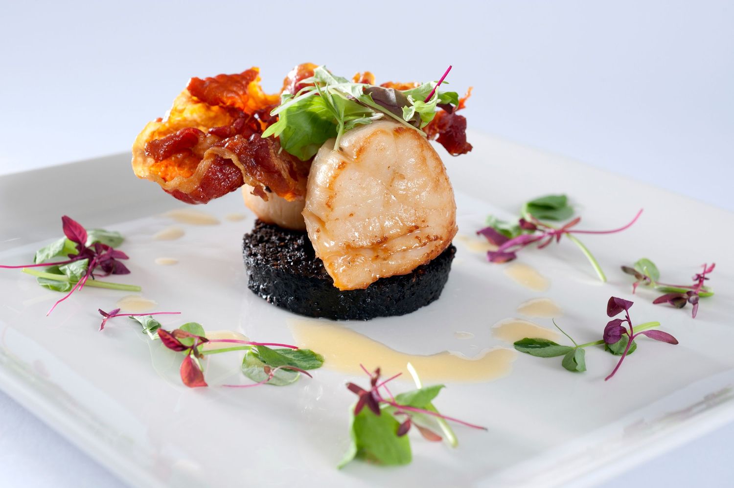 Elegant fine dining scallop dish on black caviar with microgreens and crispy garnish on a white plate.