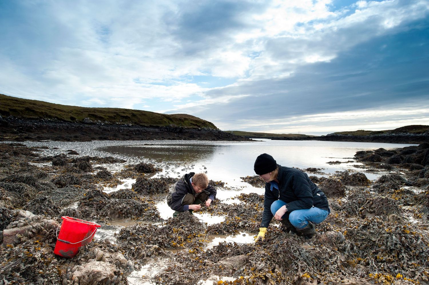 Two people foraging for mussels on rocky coastline with red bucket. Langass Lodge Hotel North Uist
Photograph by Danny Elwes