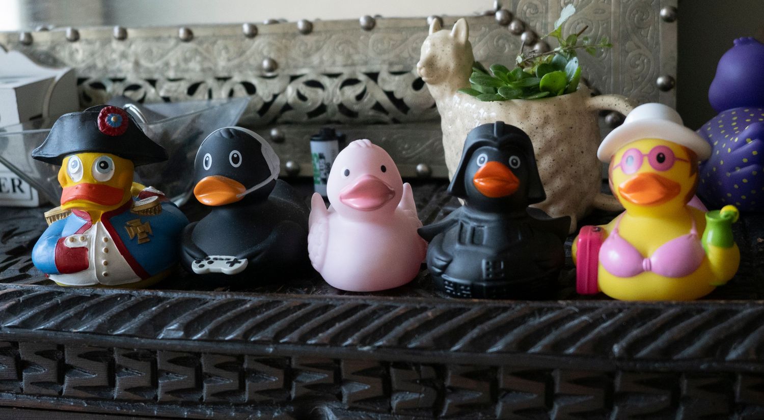 A collection of colourful rubber ducks lined up on display. For Before They Fly The Nest
Photograph by Danny Elwes