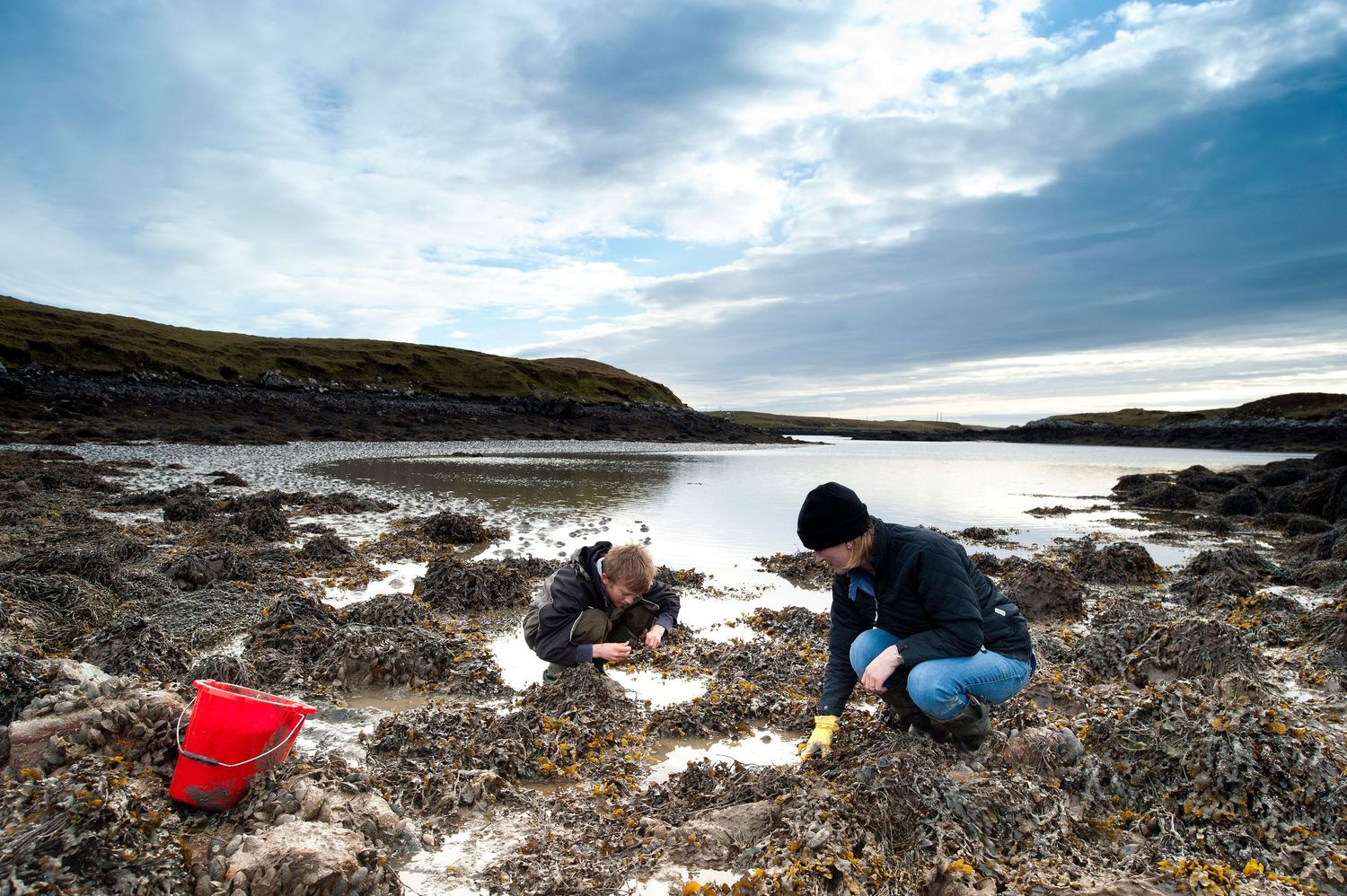 Two people exploring rocky tidal pools on a rugged coastline, with a red bucket nearby under a cloudy sky.