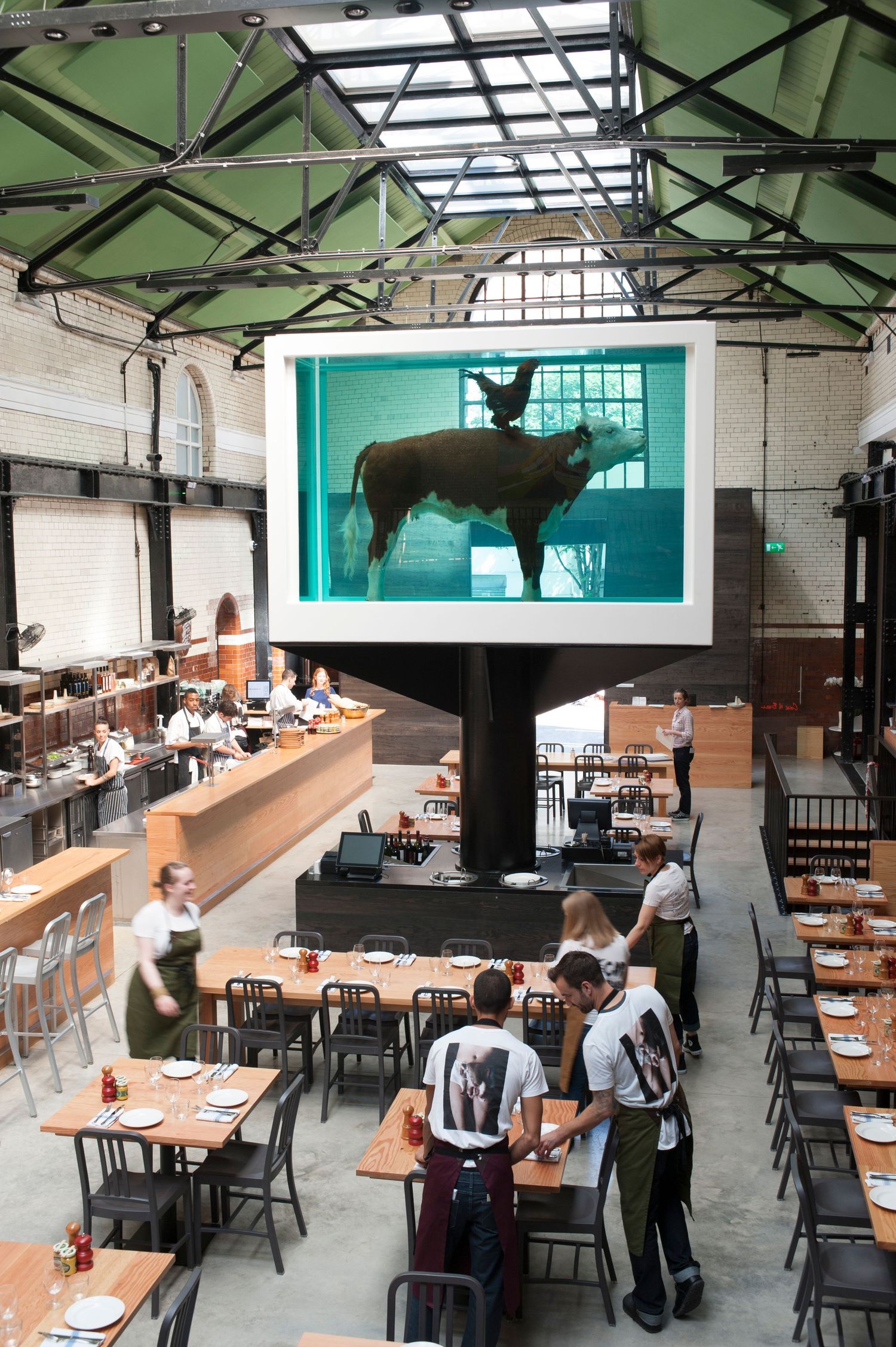 A large preserved bull in formaldehyde tank displayed as art centerpiece in an industrial-style restaurant dining room.