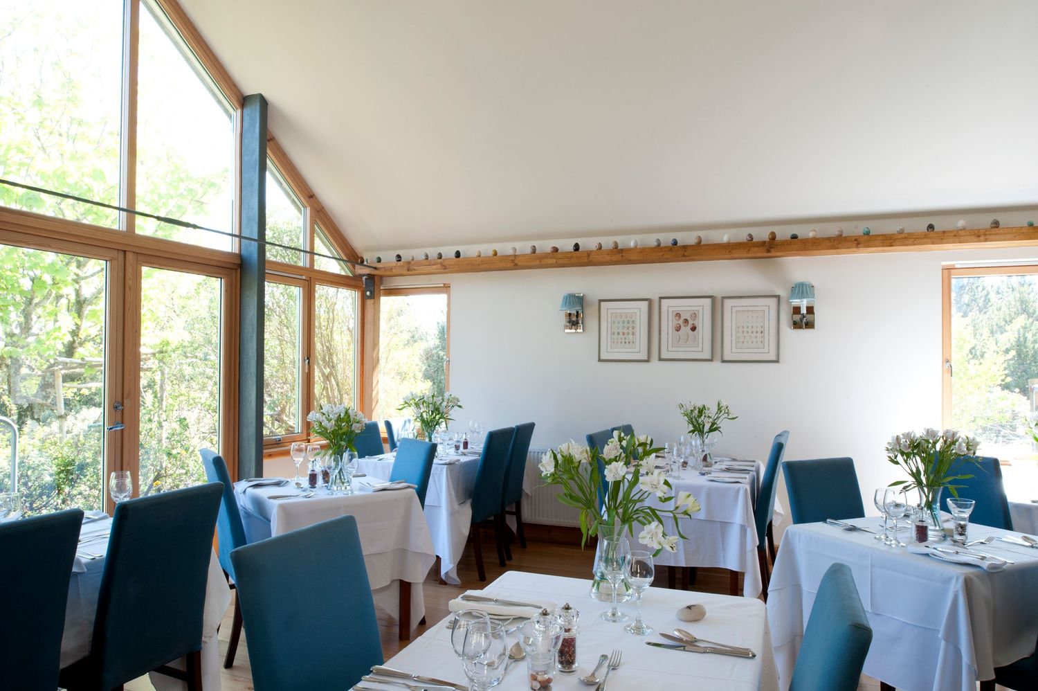 Bright restaurant dining room with white tablecloths, blue chairs, fresh flowers, and large wood-framed windows overlooking greenery.