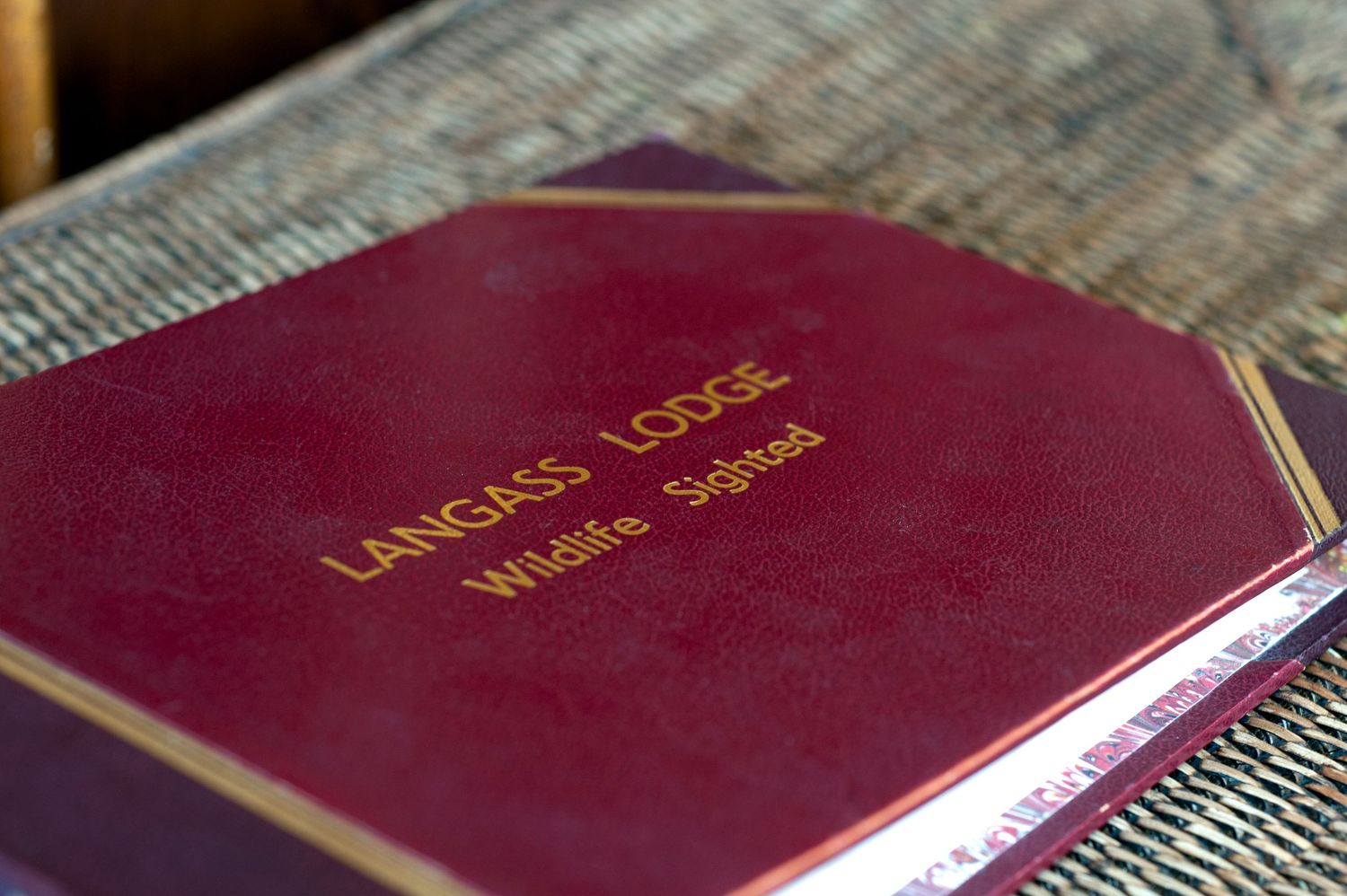 Close-up of a burgundy Langass Lodge Wildlife Sighted guest book with gold lettering on a textured surface.