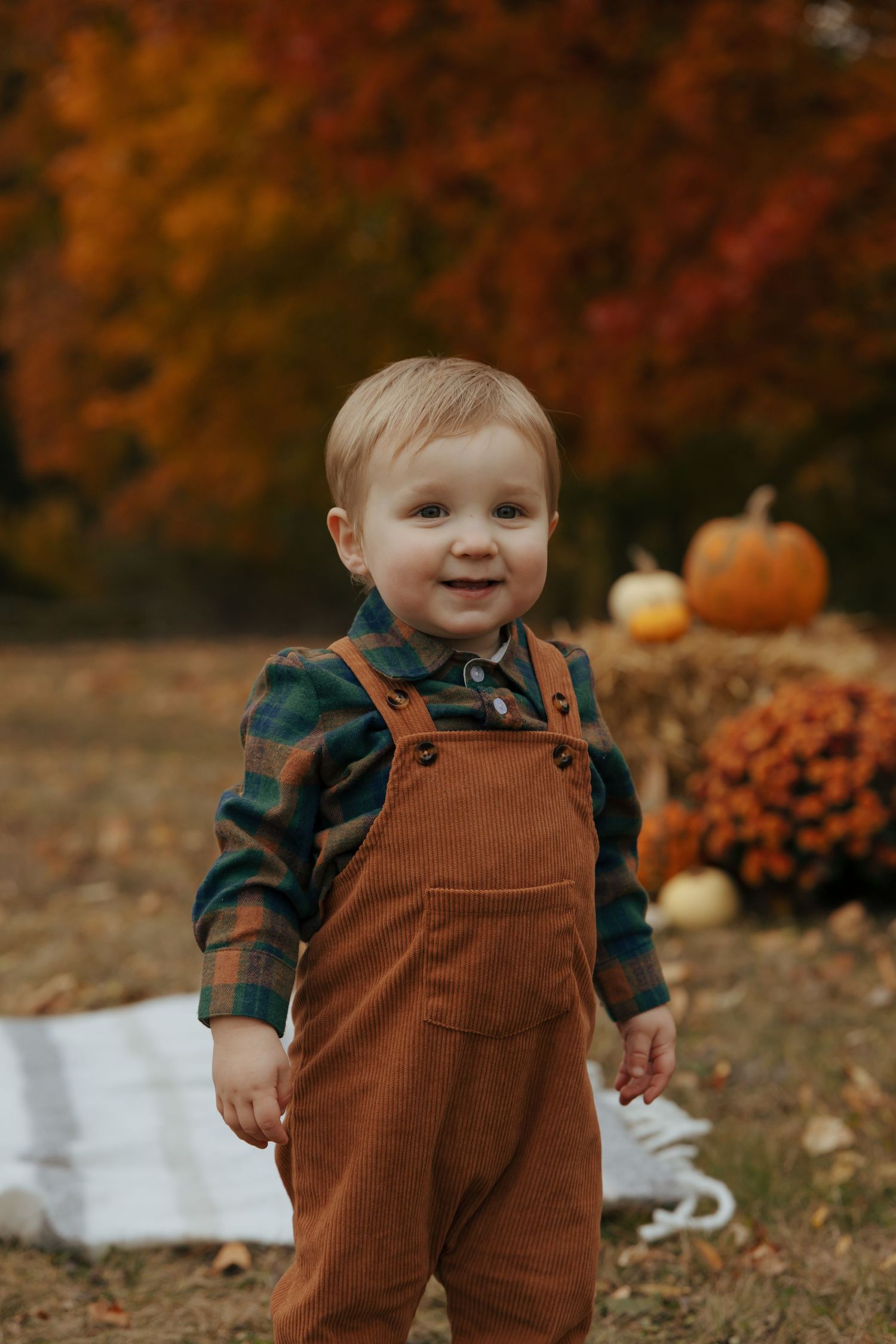 Adorable toddler boy in brown overalls and plaid shirt standing near fall pumpkin display.