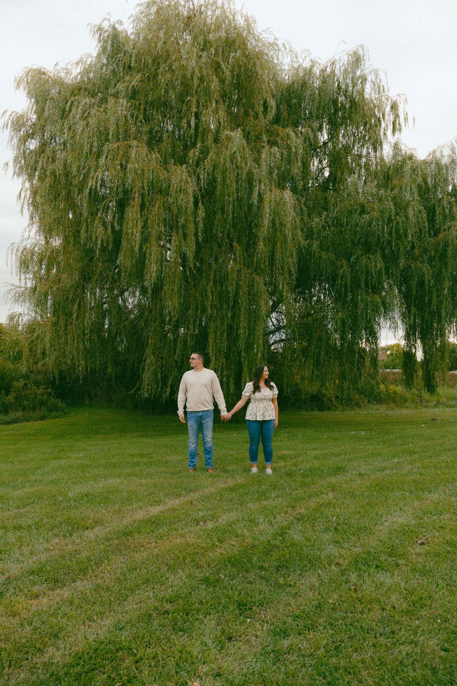 Engaged couple holding hands while standing in a green meadow in front of a willow tree.