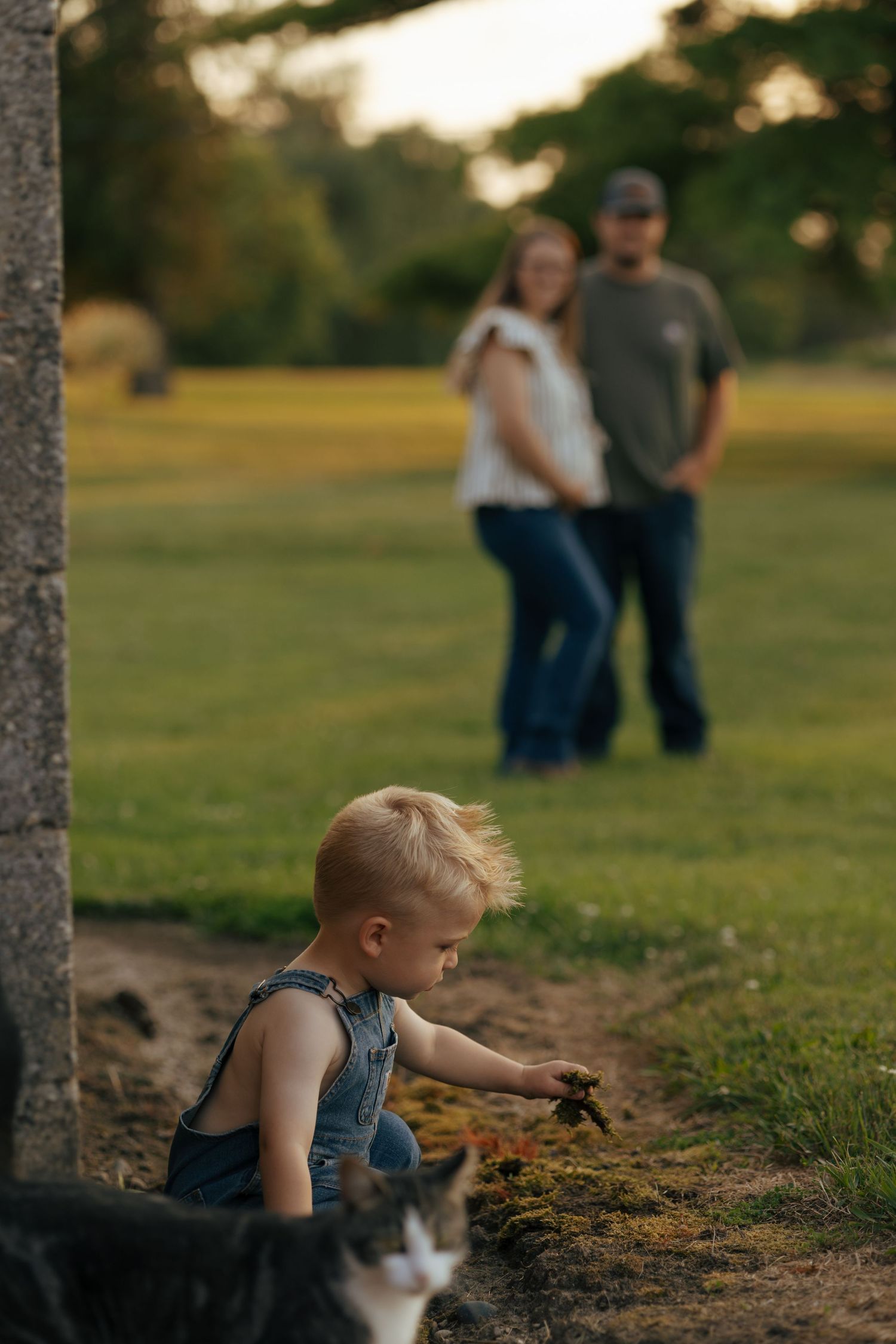 Toddler in overalls playing with a cat while parents watch lovingly in the background at sunset.